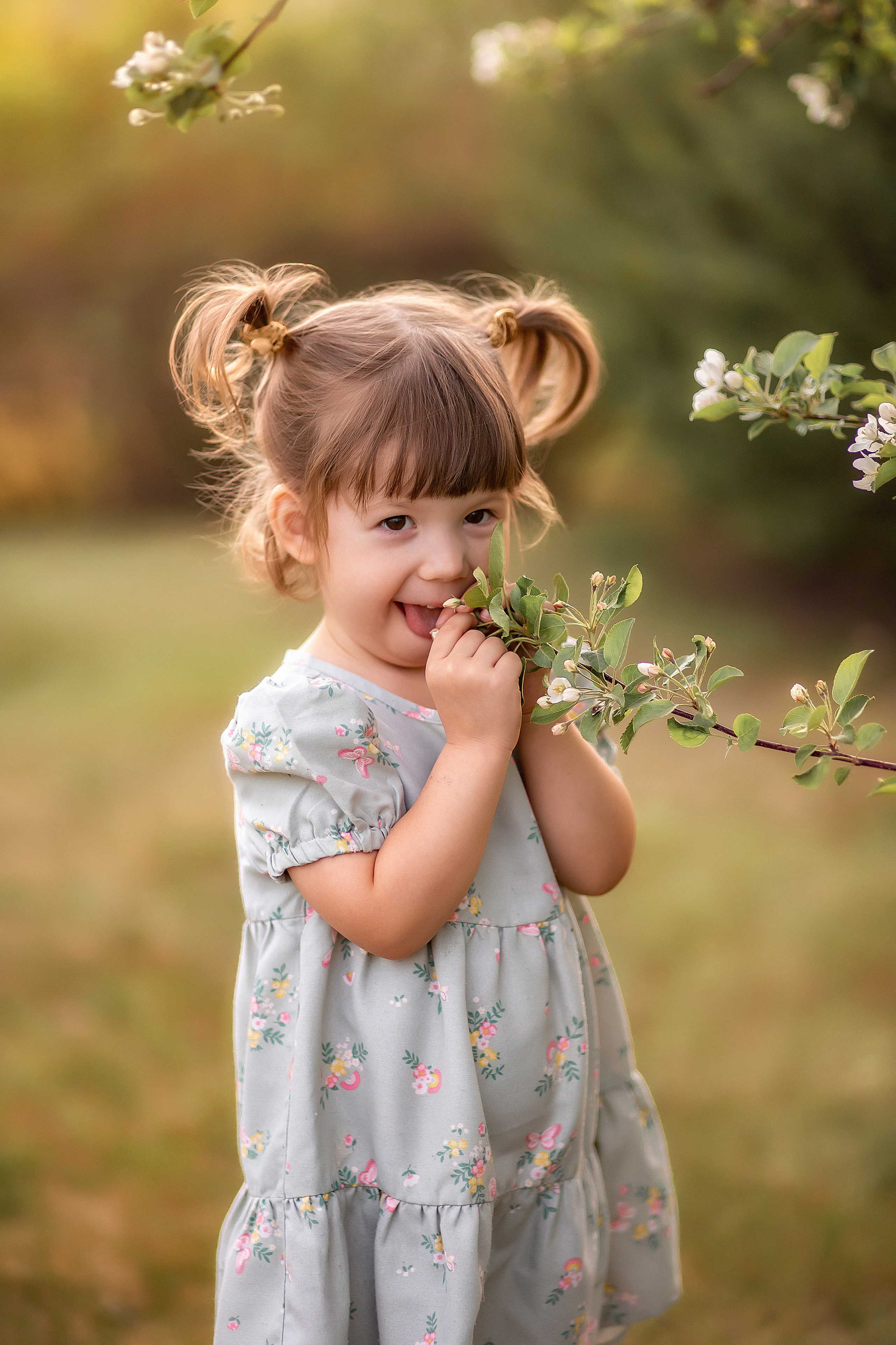 Малышка Стеша в цветущих яблонях. Детский и семейный фотограф в Красноярске Юлия Бирюкова