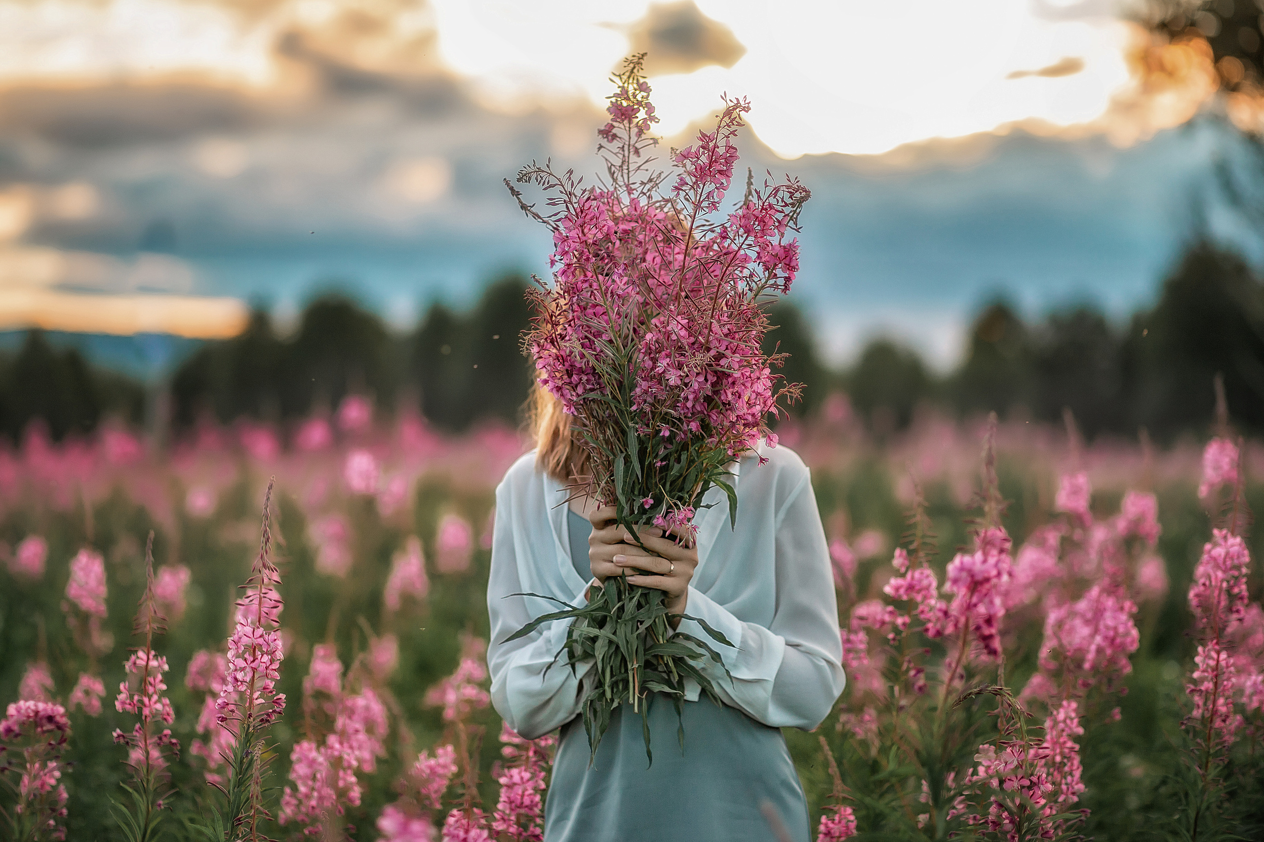 Волшебный закат в поле Иван-чая. Детский и семейный фотограф в Красноярске Юлия Бирюкова