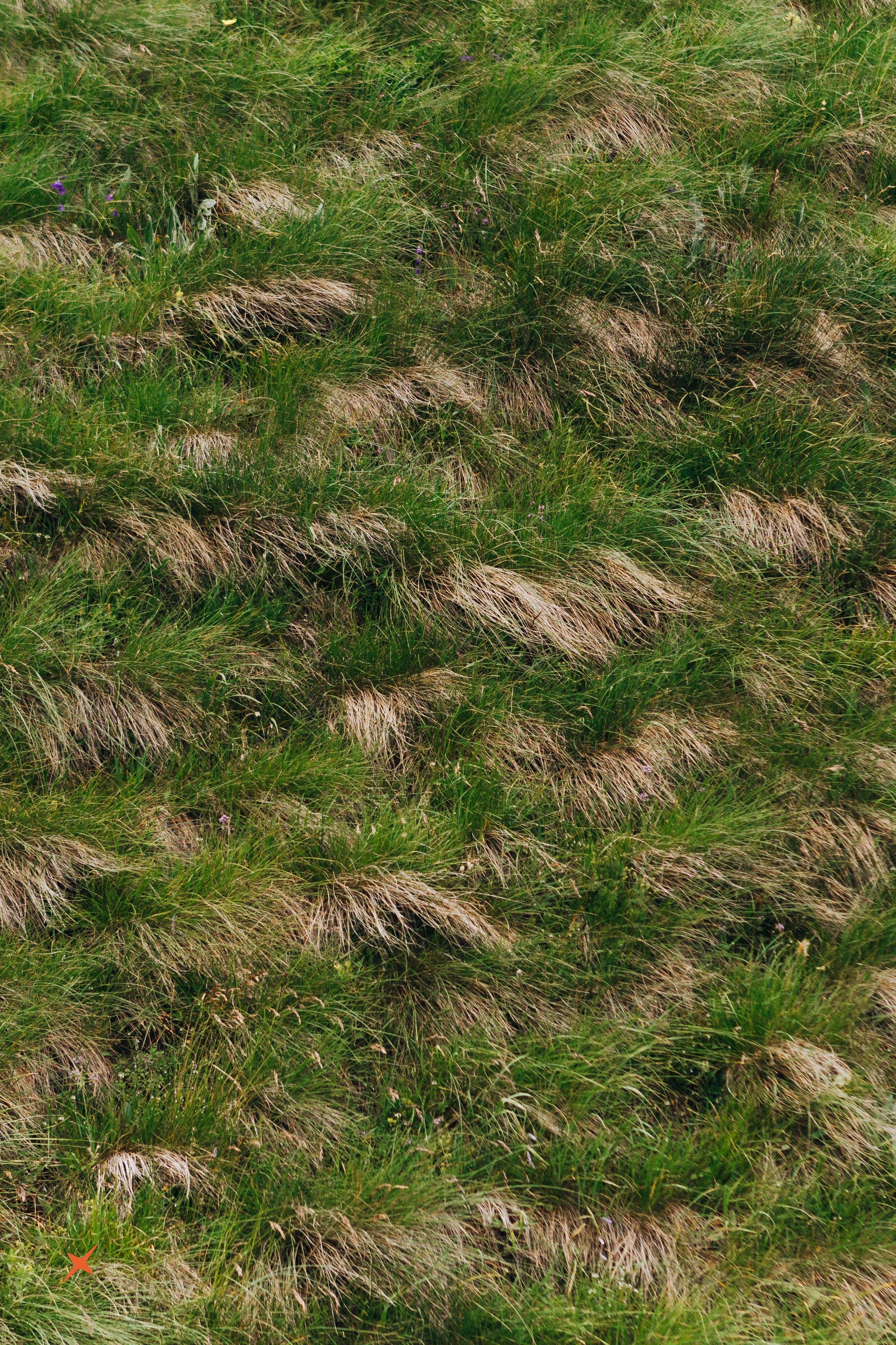 Безенги 4Sklona. Портреты и лайфстайл в Краснодаре