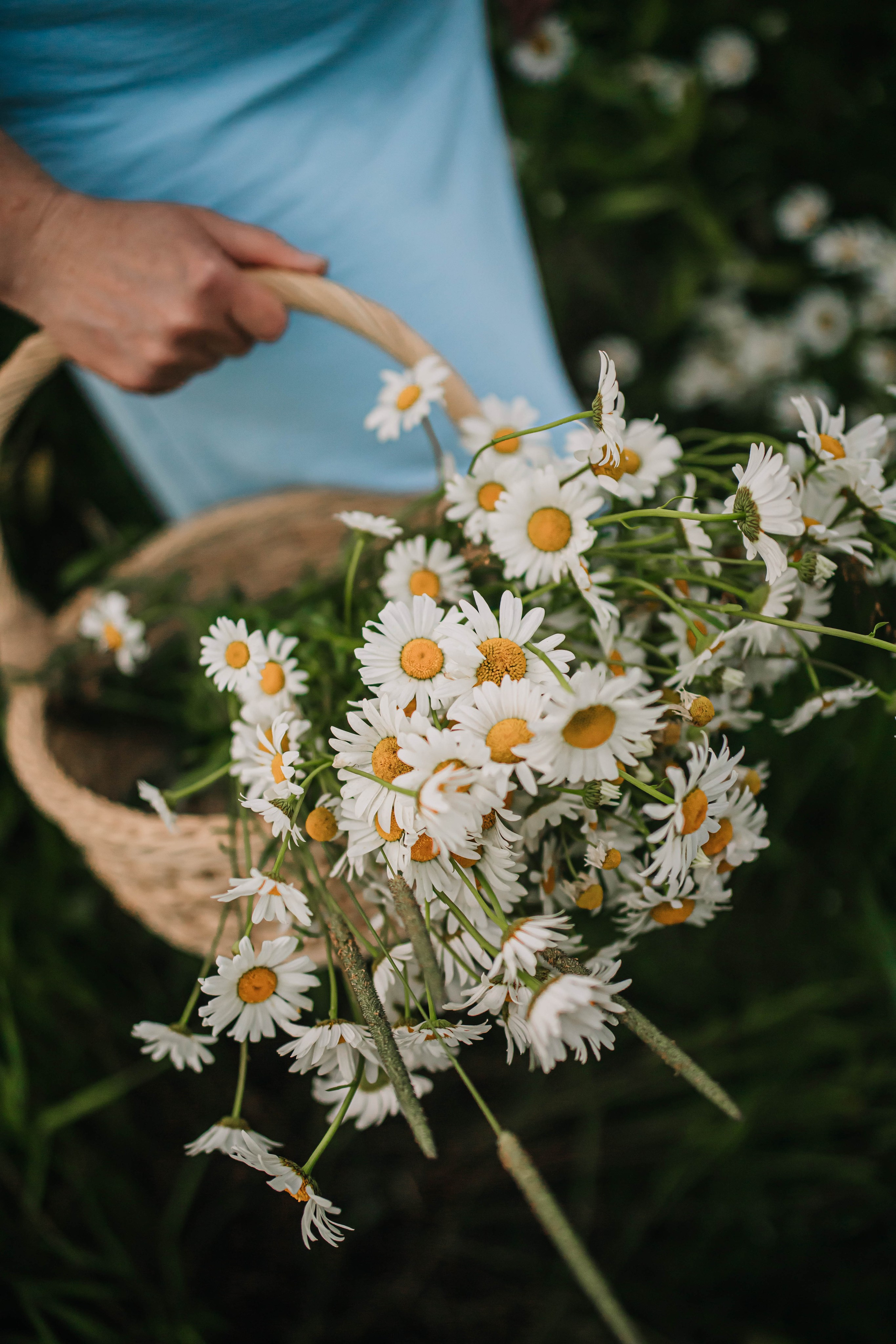 Екатерина и Таня. Фотограф Дарья Маташкова