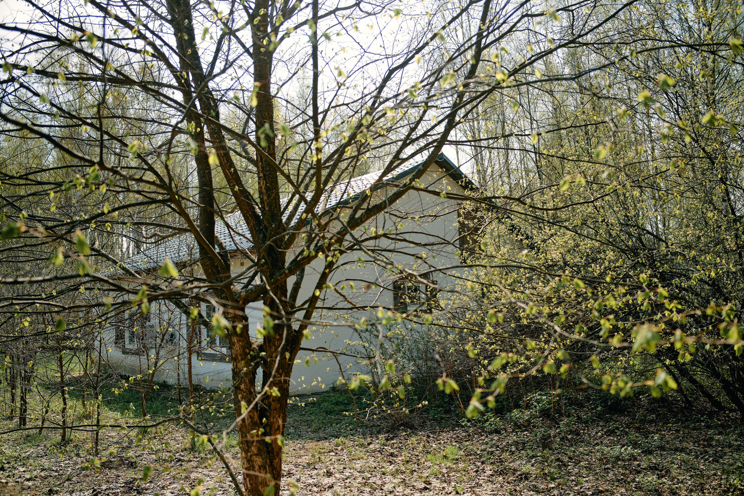Бутик-отель Поле летом. Профессиональный Фотограф во Владимире, в Москве и в Суздале — Полина Романычева