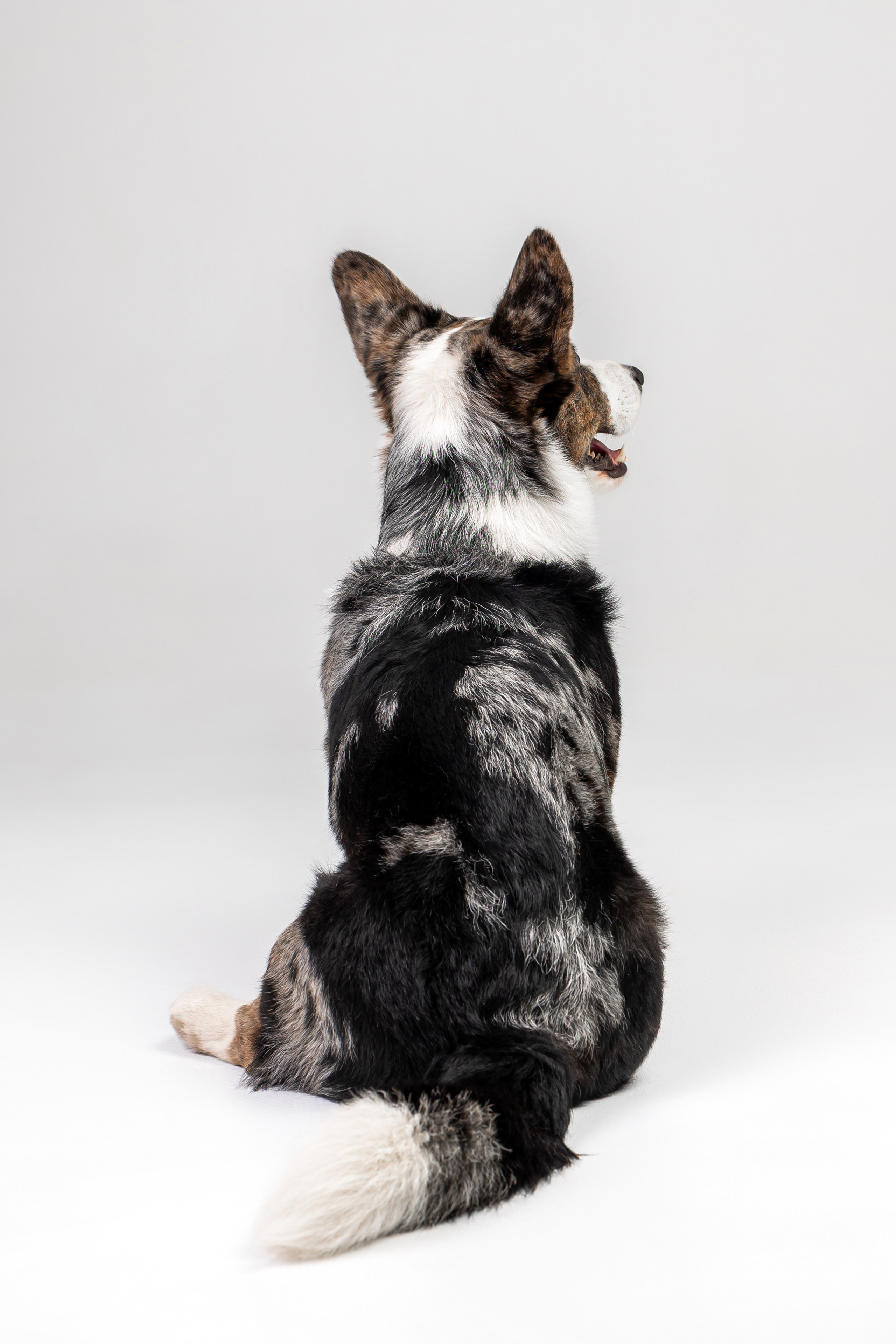 Анатолий и Рагнар