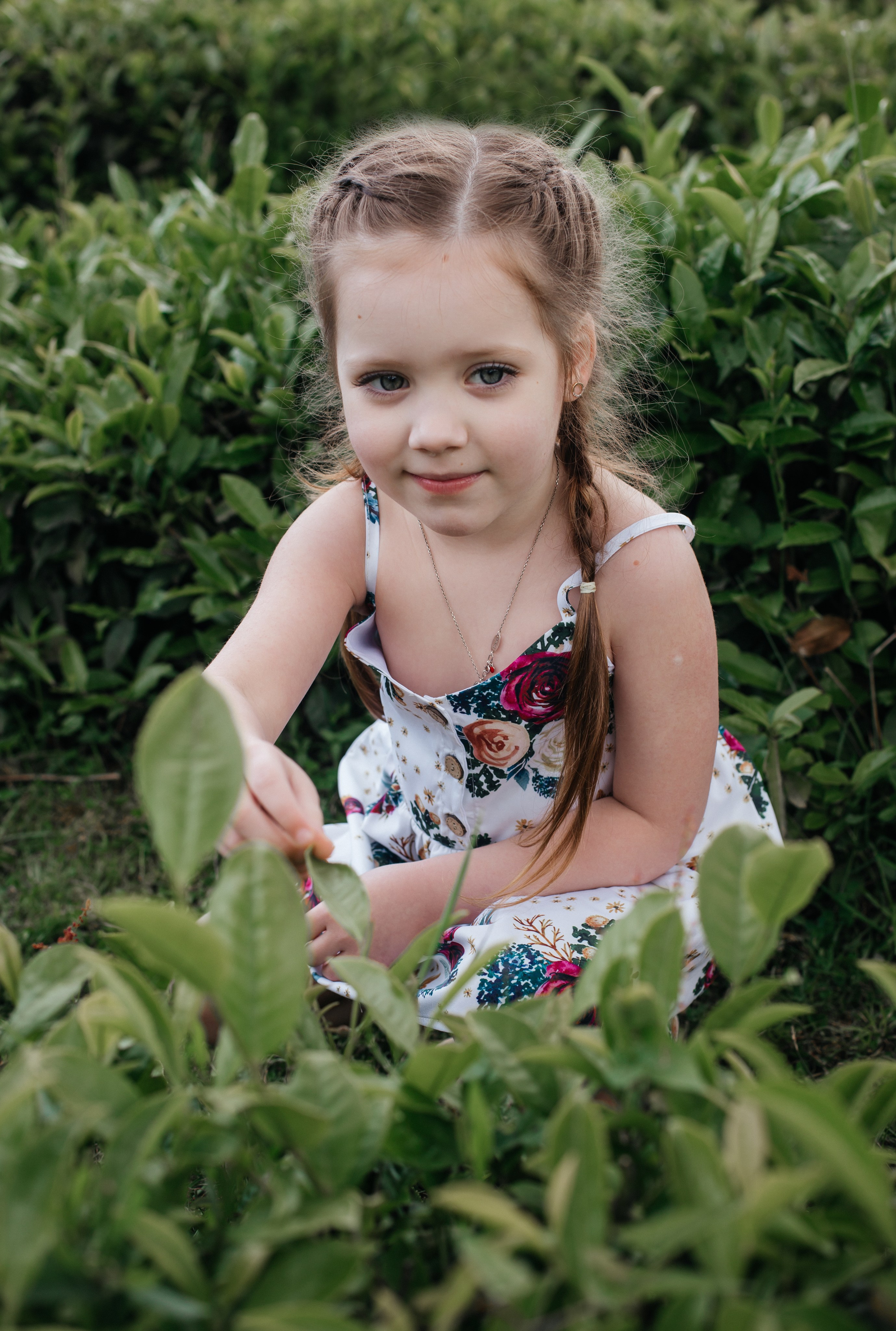 Tea plantation. Efimova Model Agency