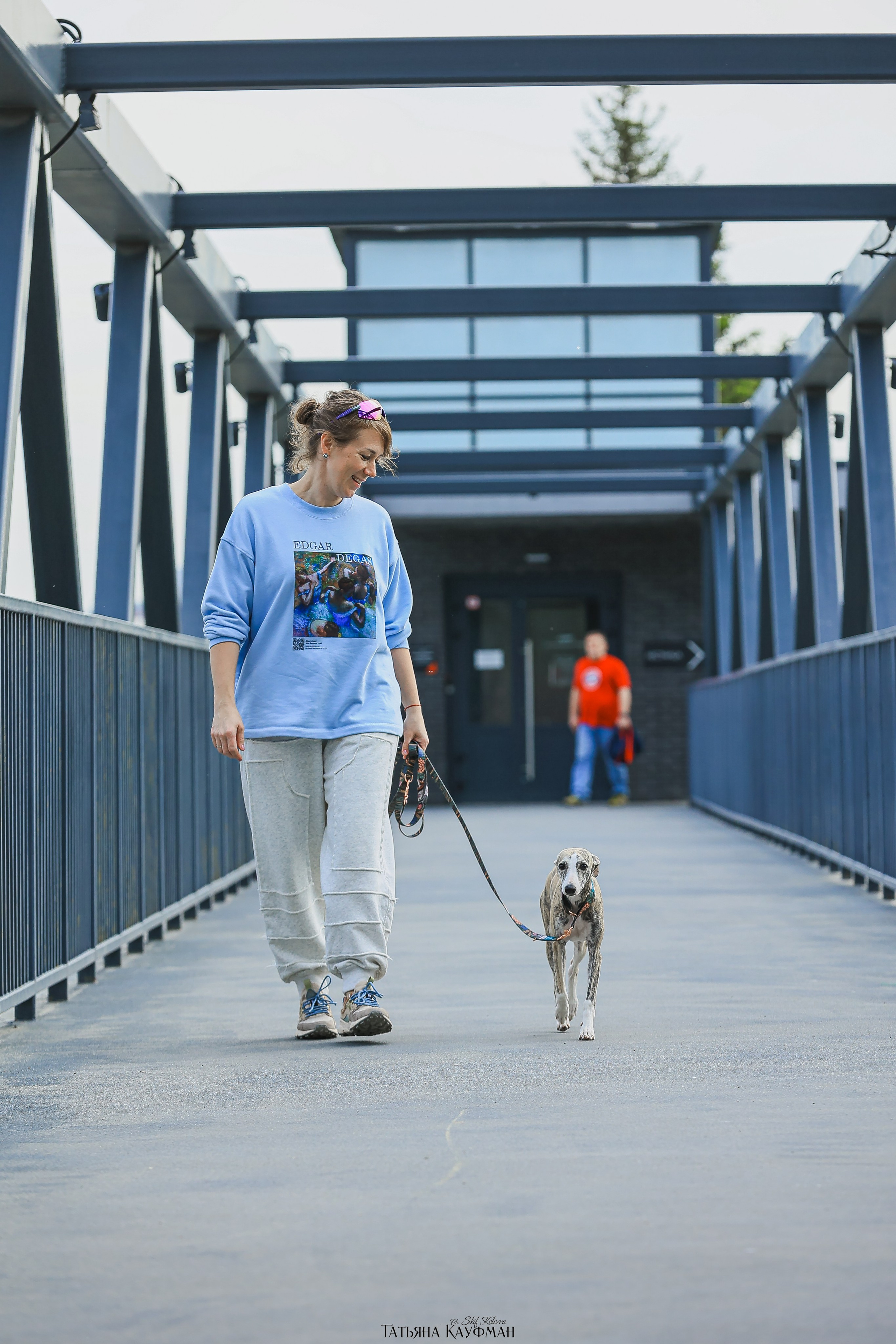 Уиппет, фотография уиппет, собака в цветах, красивая собака, фотограф анималист, фотокурс Анималистика, научиться фотографировать собак, фотограф Новосибирск