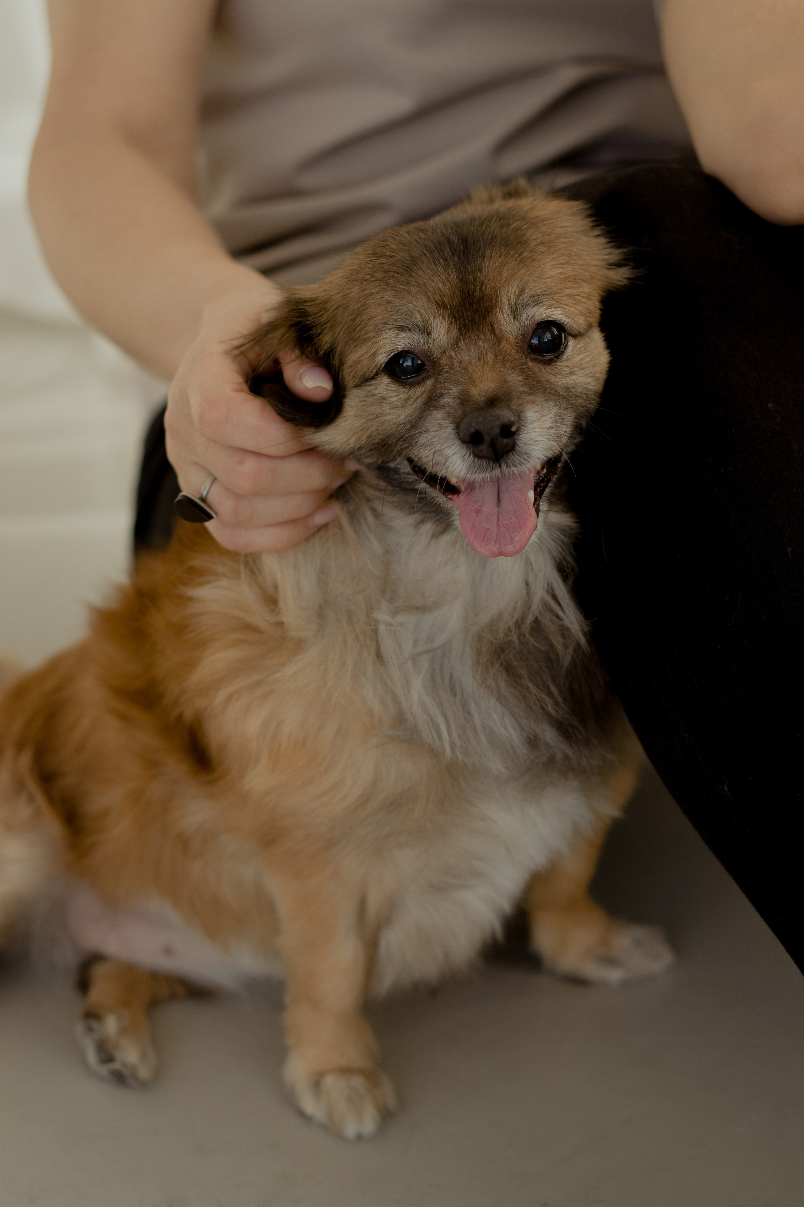 Анастасия|Ирина|Эми. Фотограф Краснодар Анастасия Епифанова