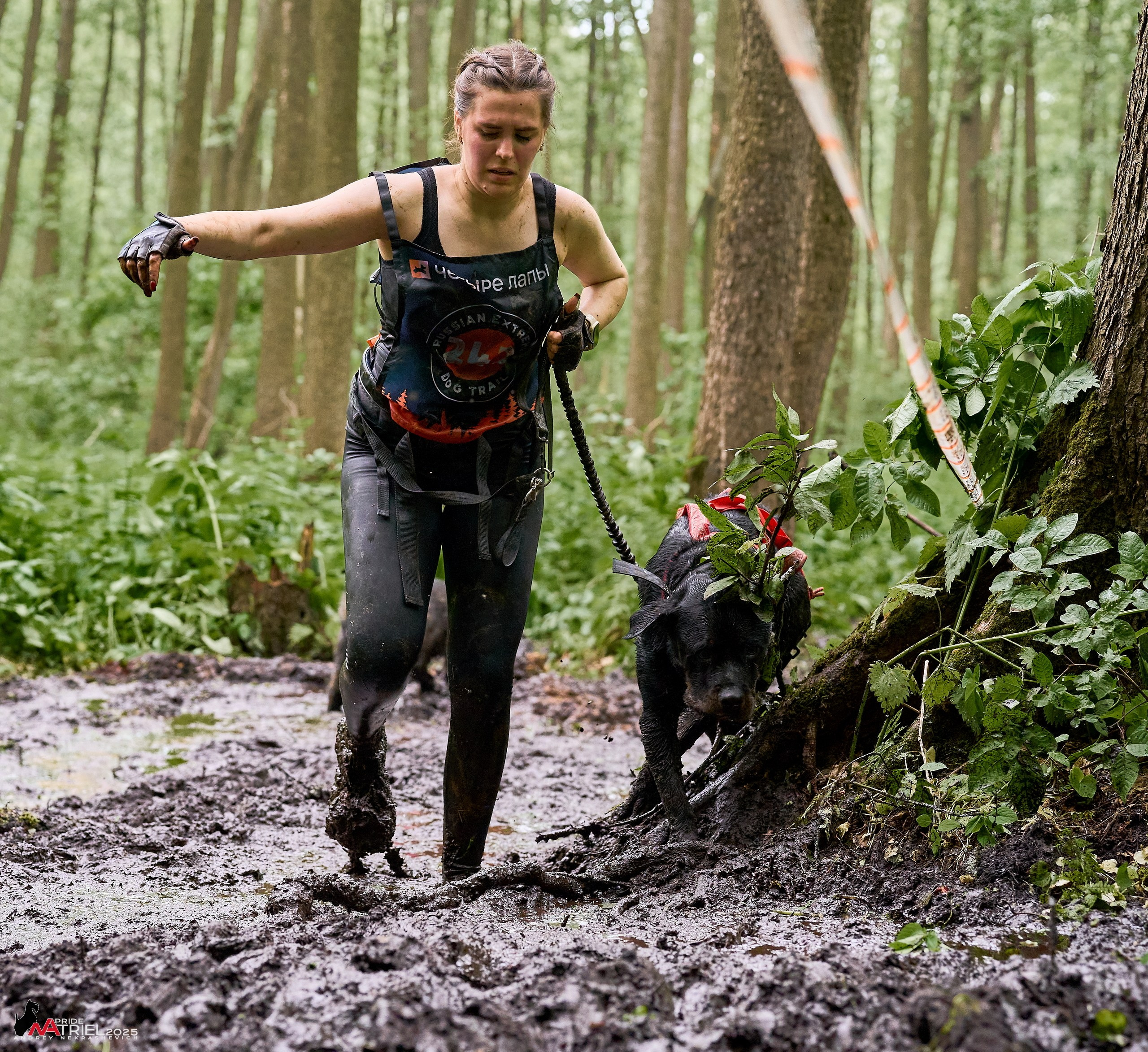 Russian Extreme Dog Trail — 2025