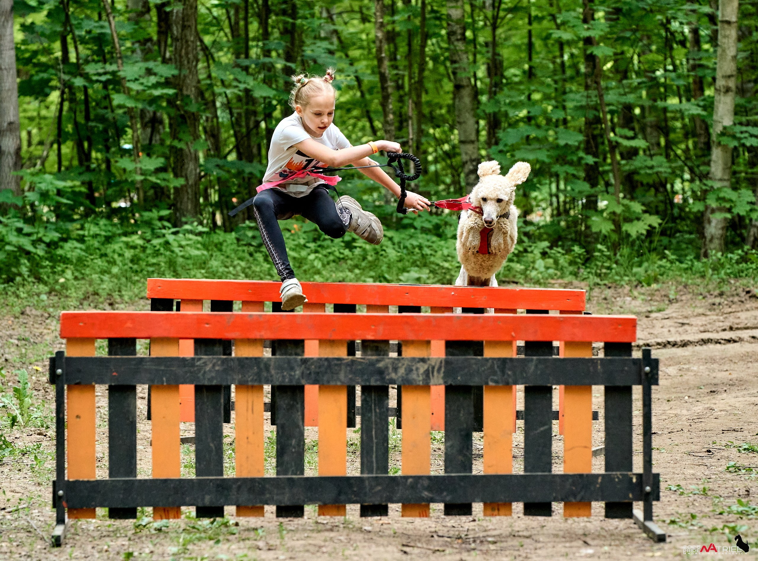 Russian Extreme Dog Trail — 2025