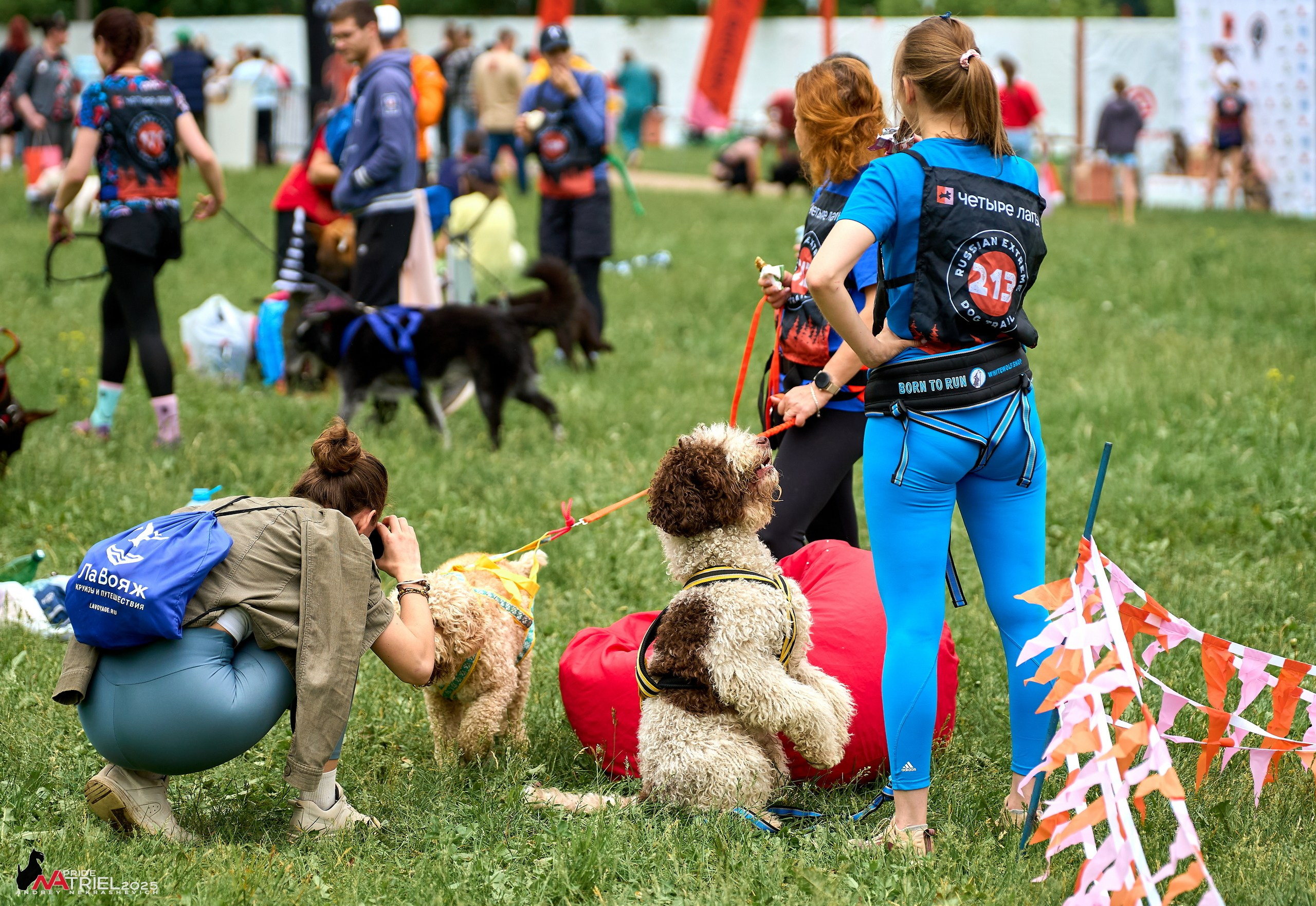 Russian Extreme Dog Trail — 2025