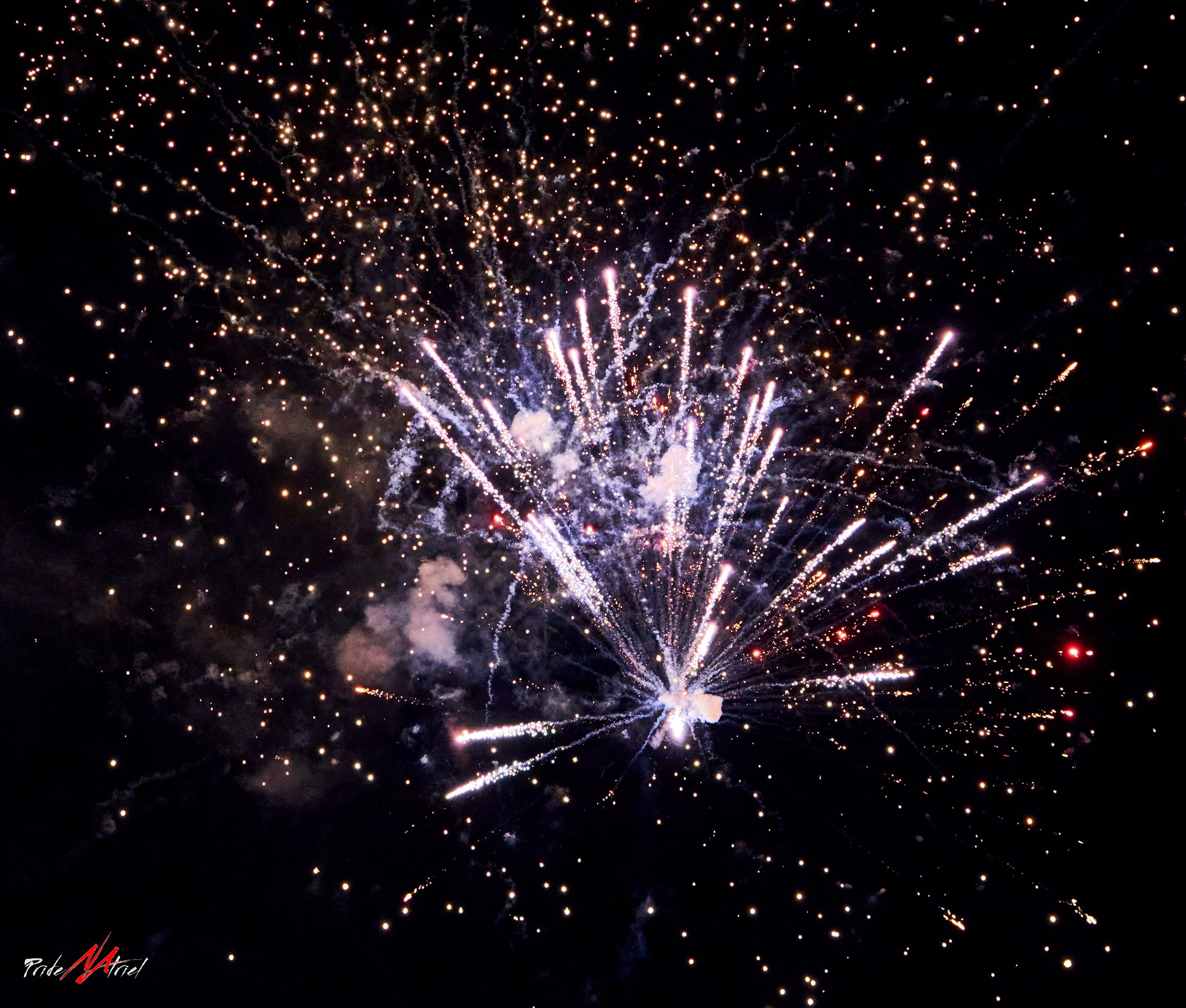 Огонь, Ветер, Вода, Земля — галерея NATRIEL