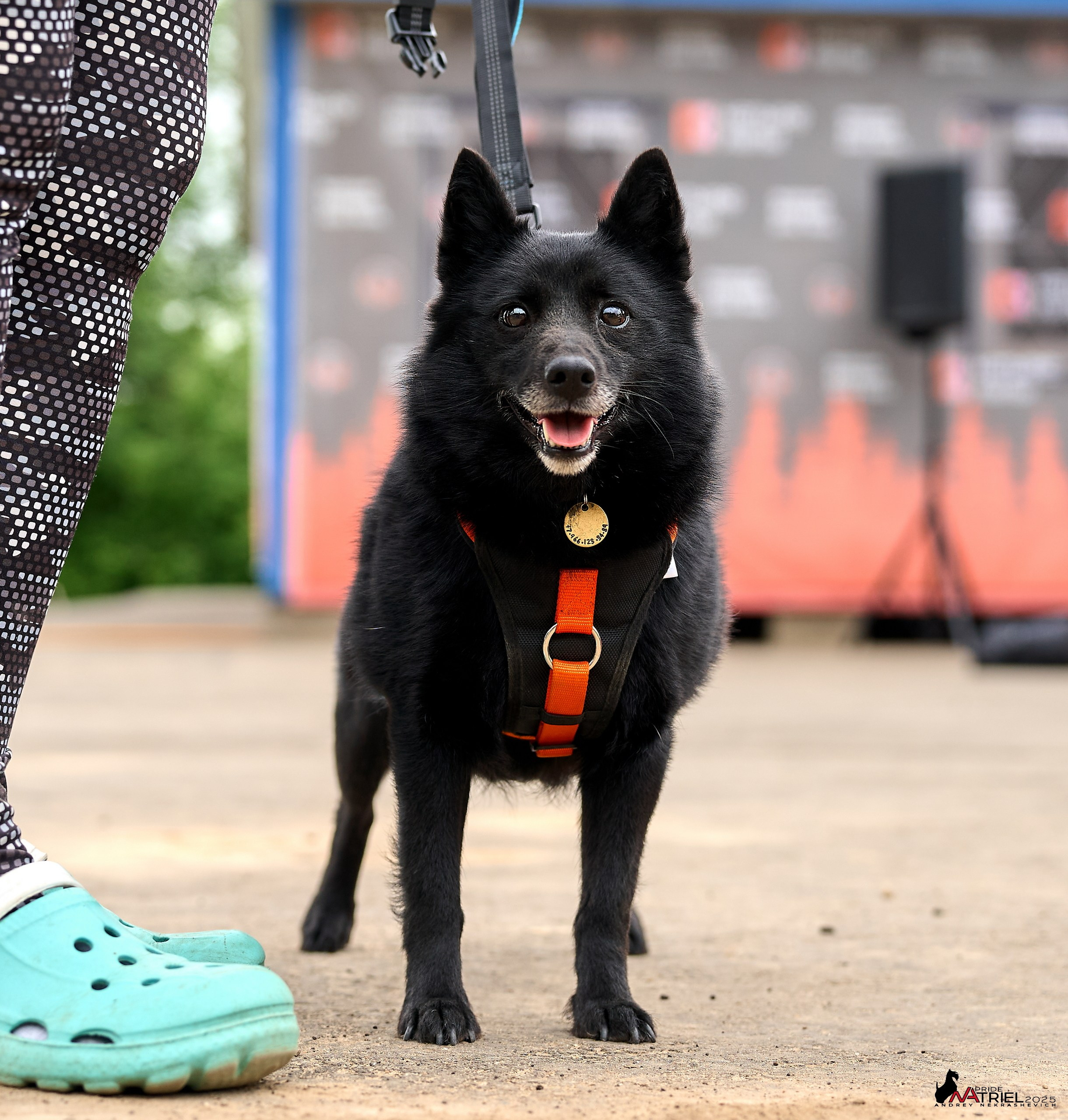 Russian Extreme Dog Trail — 2025