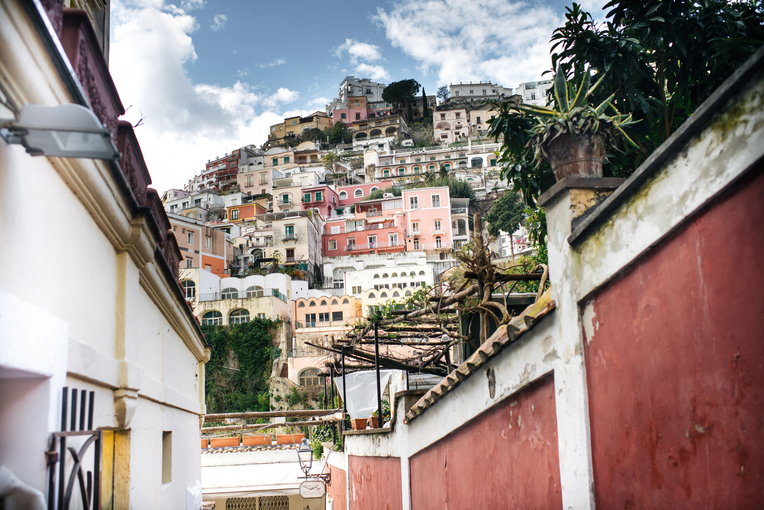 Свадебный фотограф Новосибирск