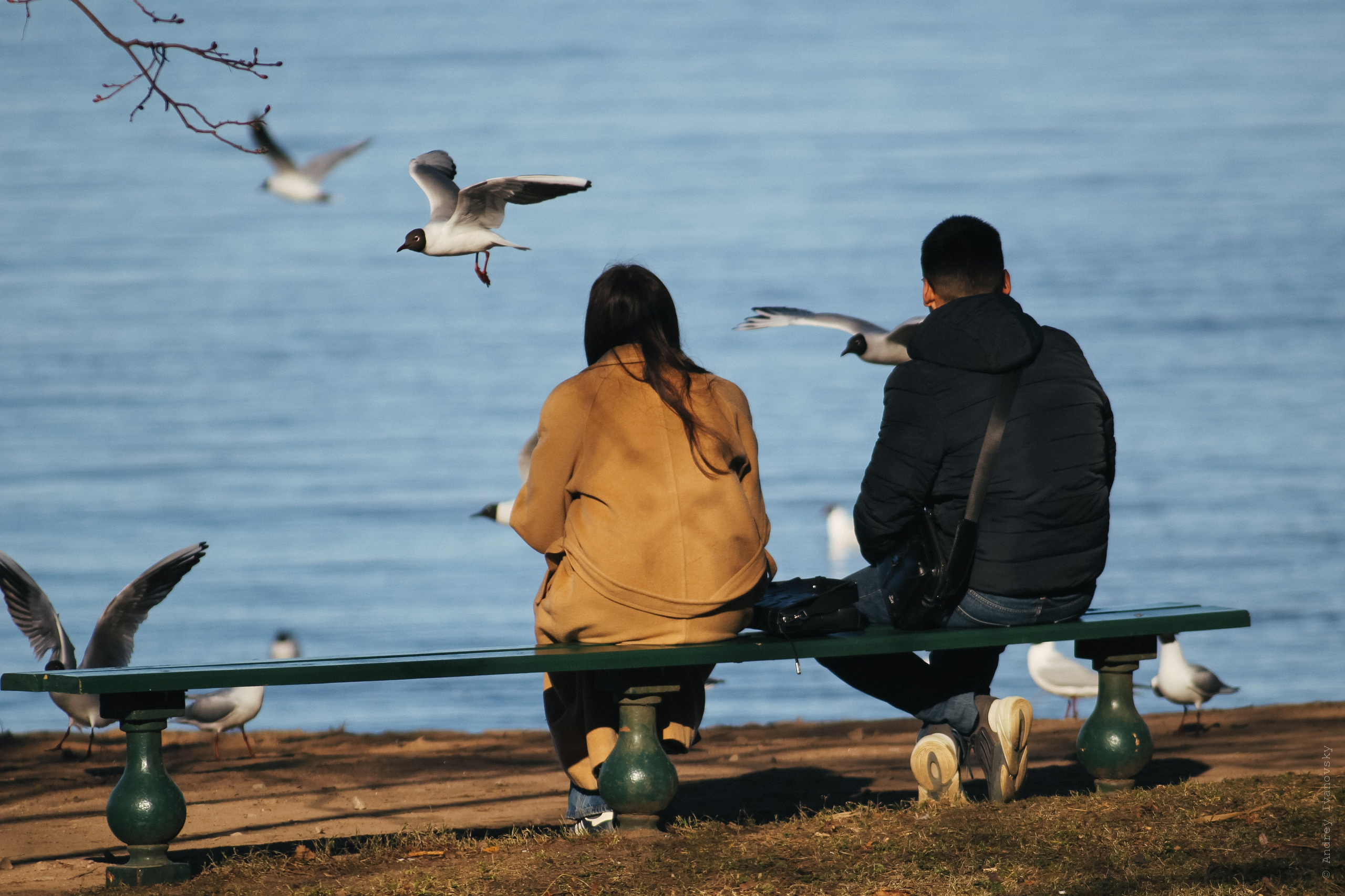 Нижний парк — Tokina 300/4. Famitsu