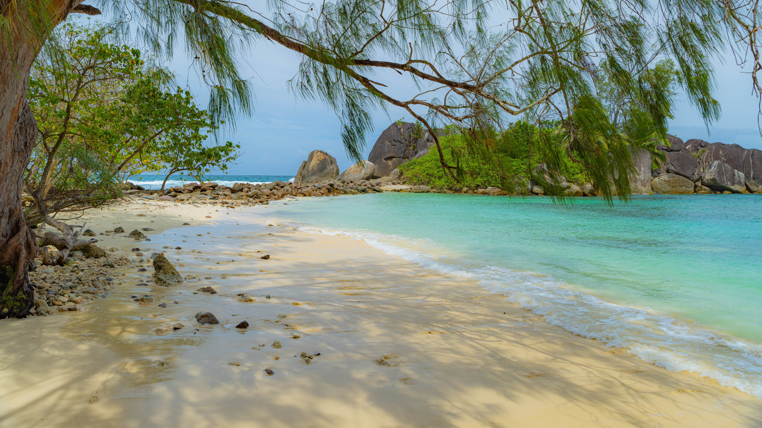 2025 07 Сейшелы (Маэ). Фотографии