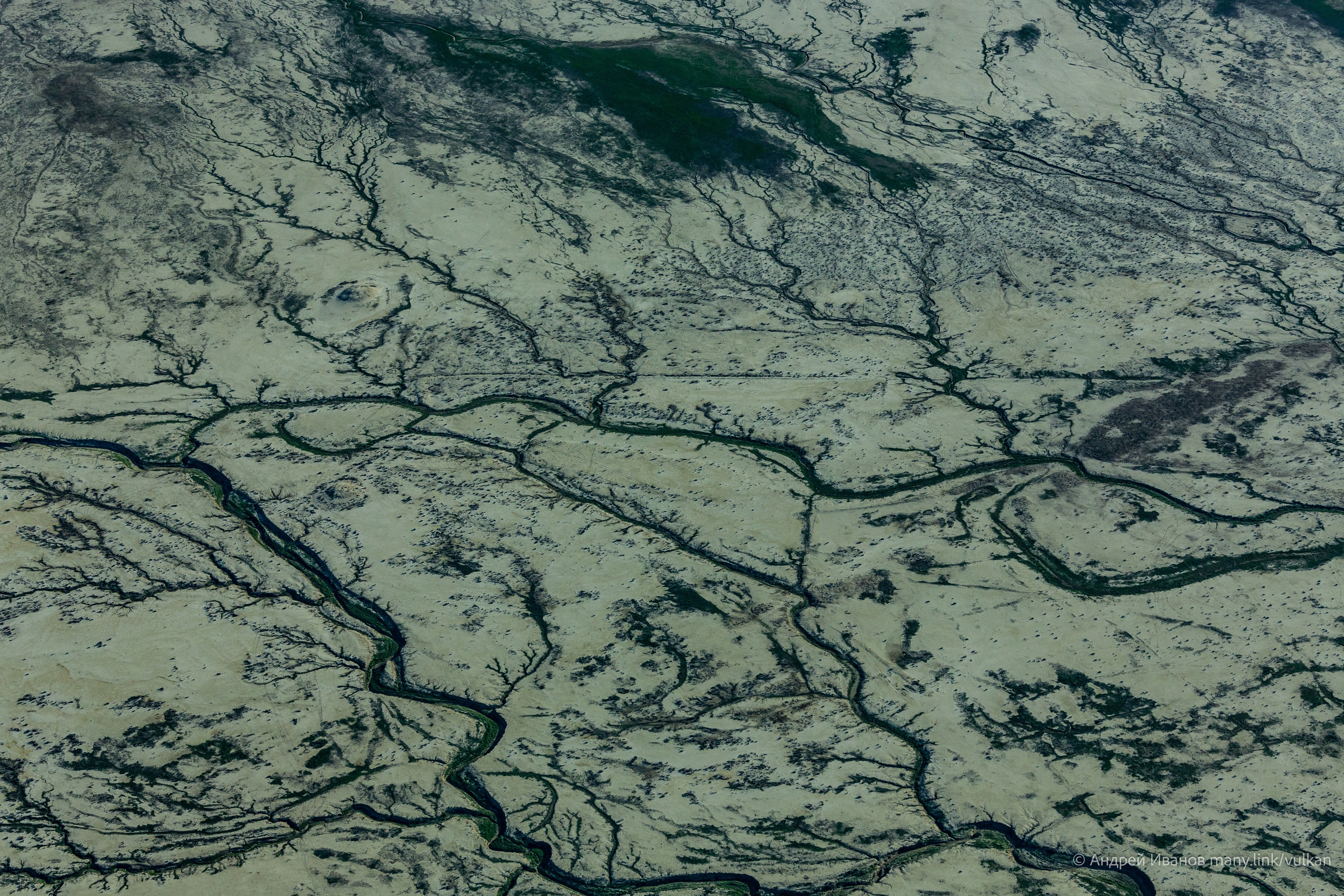 Перелёт на Байконур в 2026 г на самолётах АОН. Фотоальбом показывающий увлекательный мир авиации и мир медведей Андрея Иванова