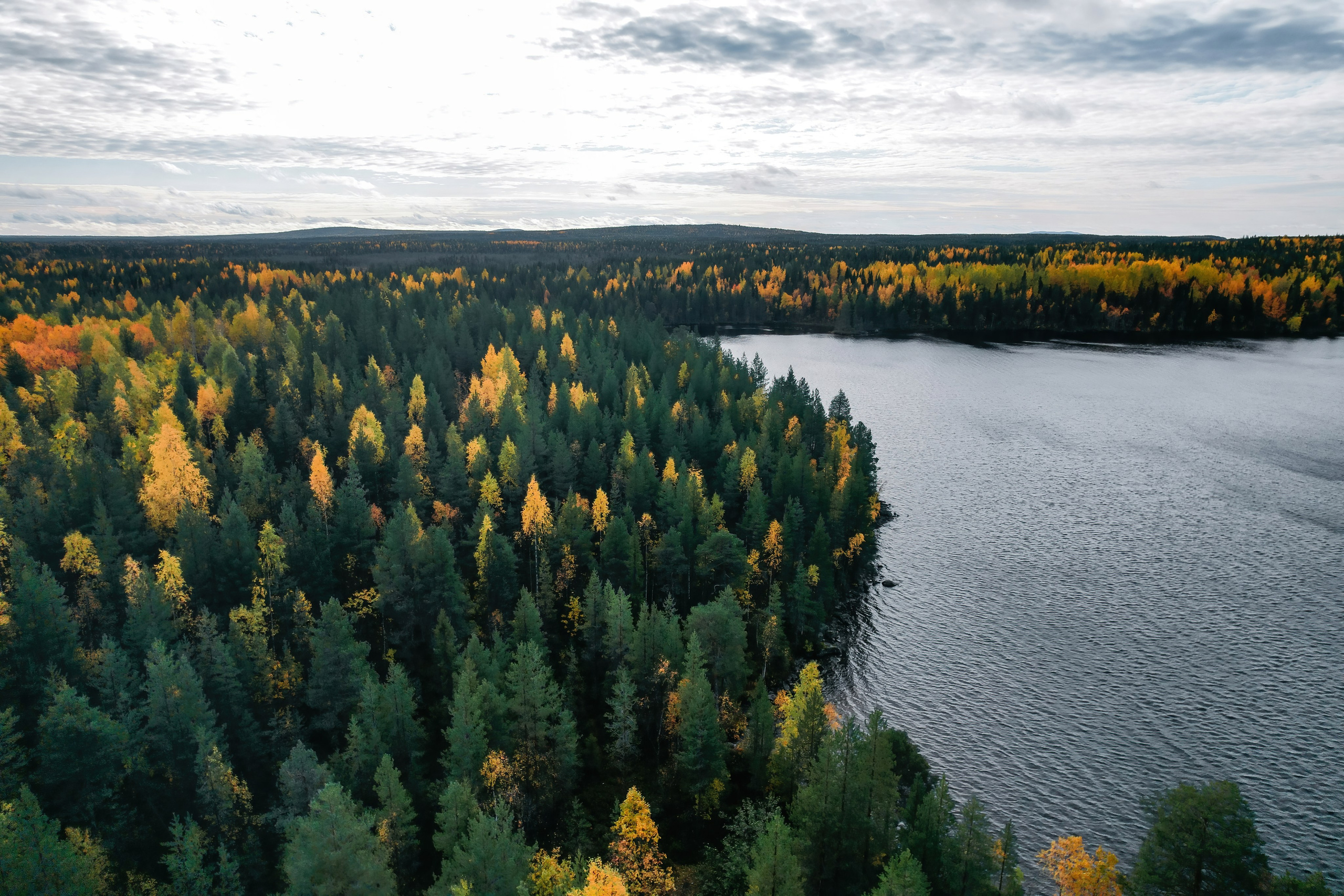 СЕВЕР. Event фотограф Степанова Александра