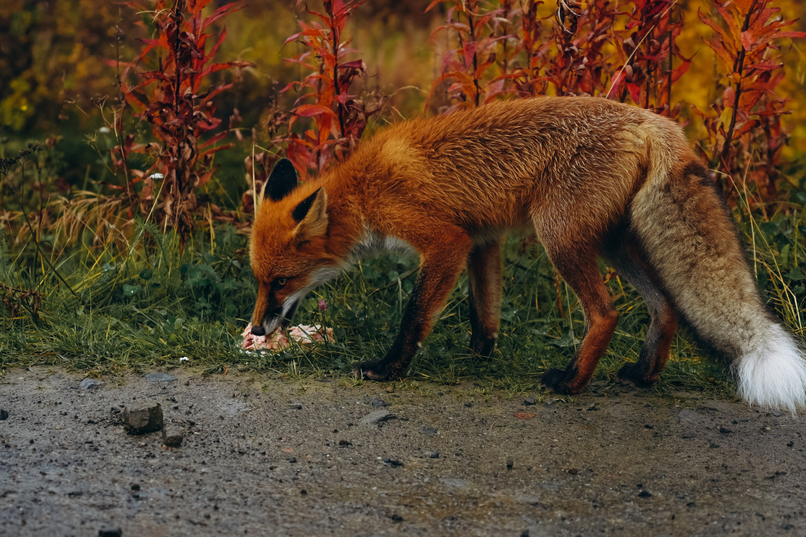 СЕВЕР. Event фотограф Степанова Александра