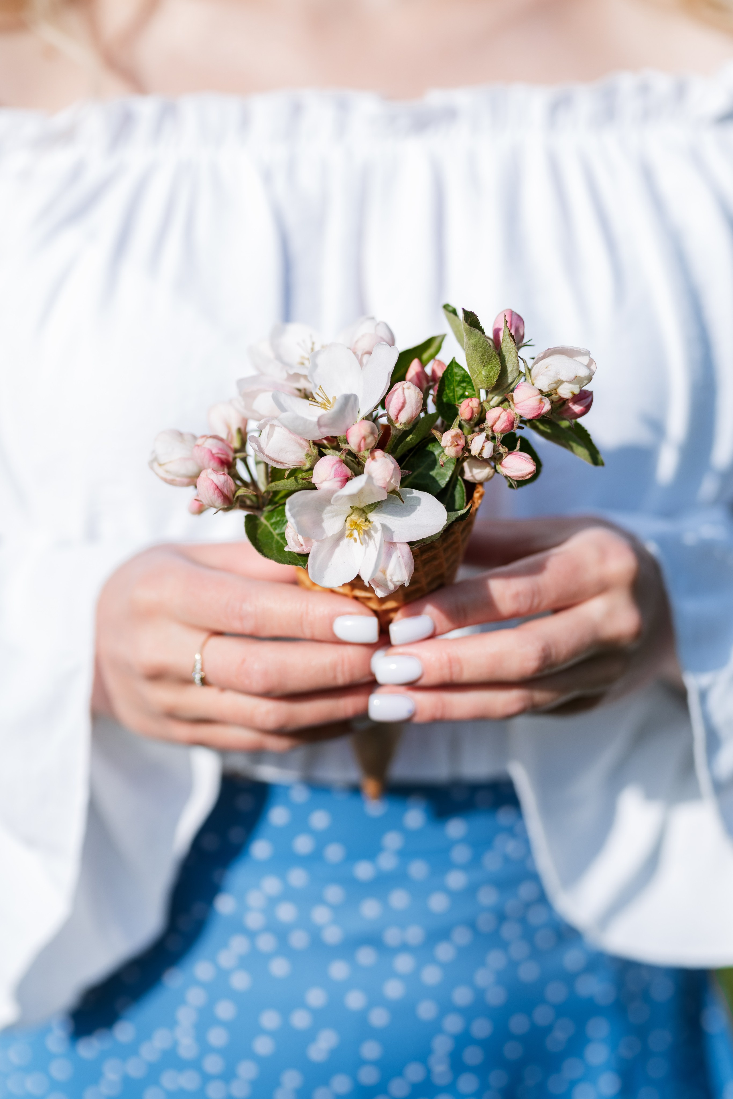 ЛОШИЦКИЙ ПАРК. Cheta Kovalevsky фотографы