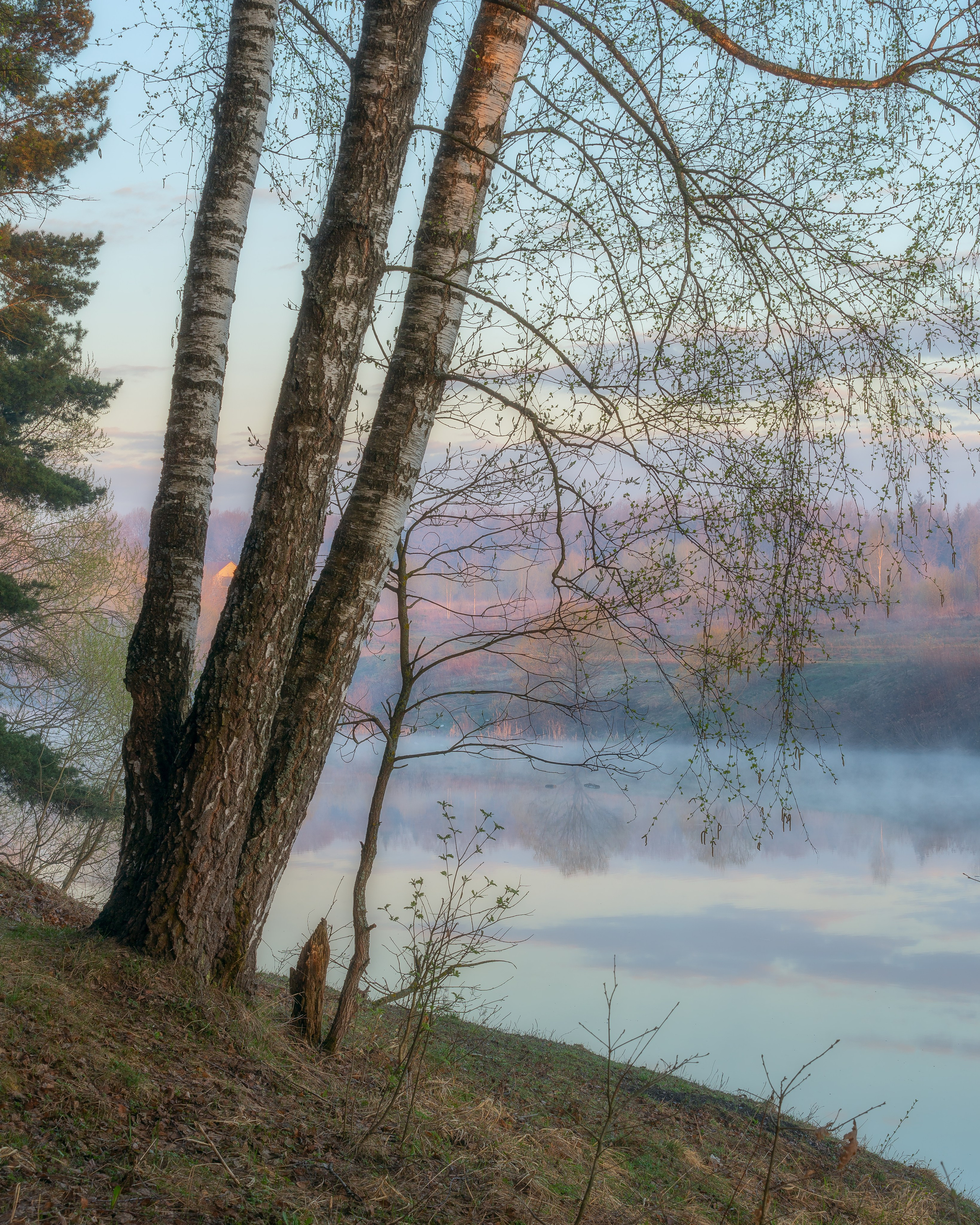 Природа (Весна). Фотограф Мартыненко Дмитрий