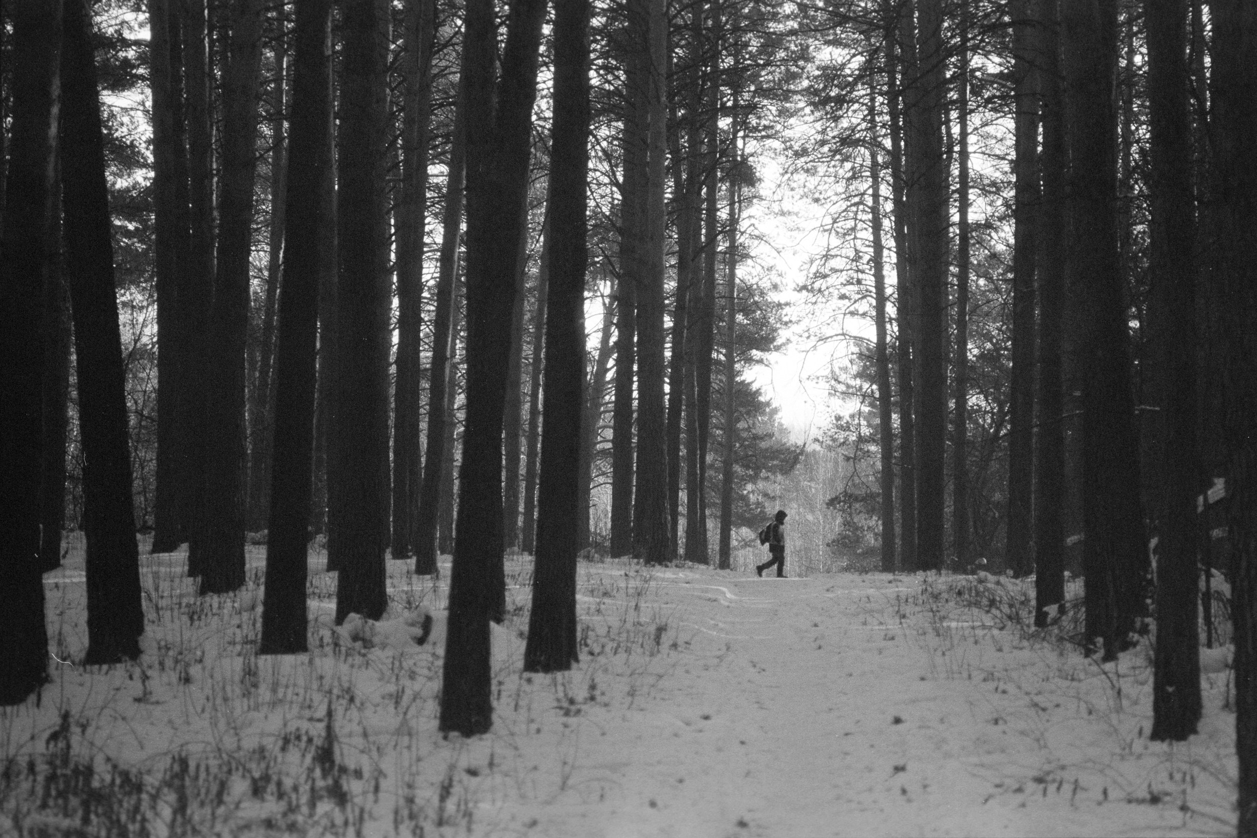 Street-photo города Новосибирск. Портретный и репортажный фотограф. Мыльников Илья