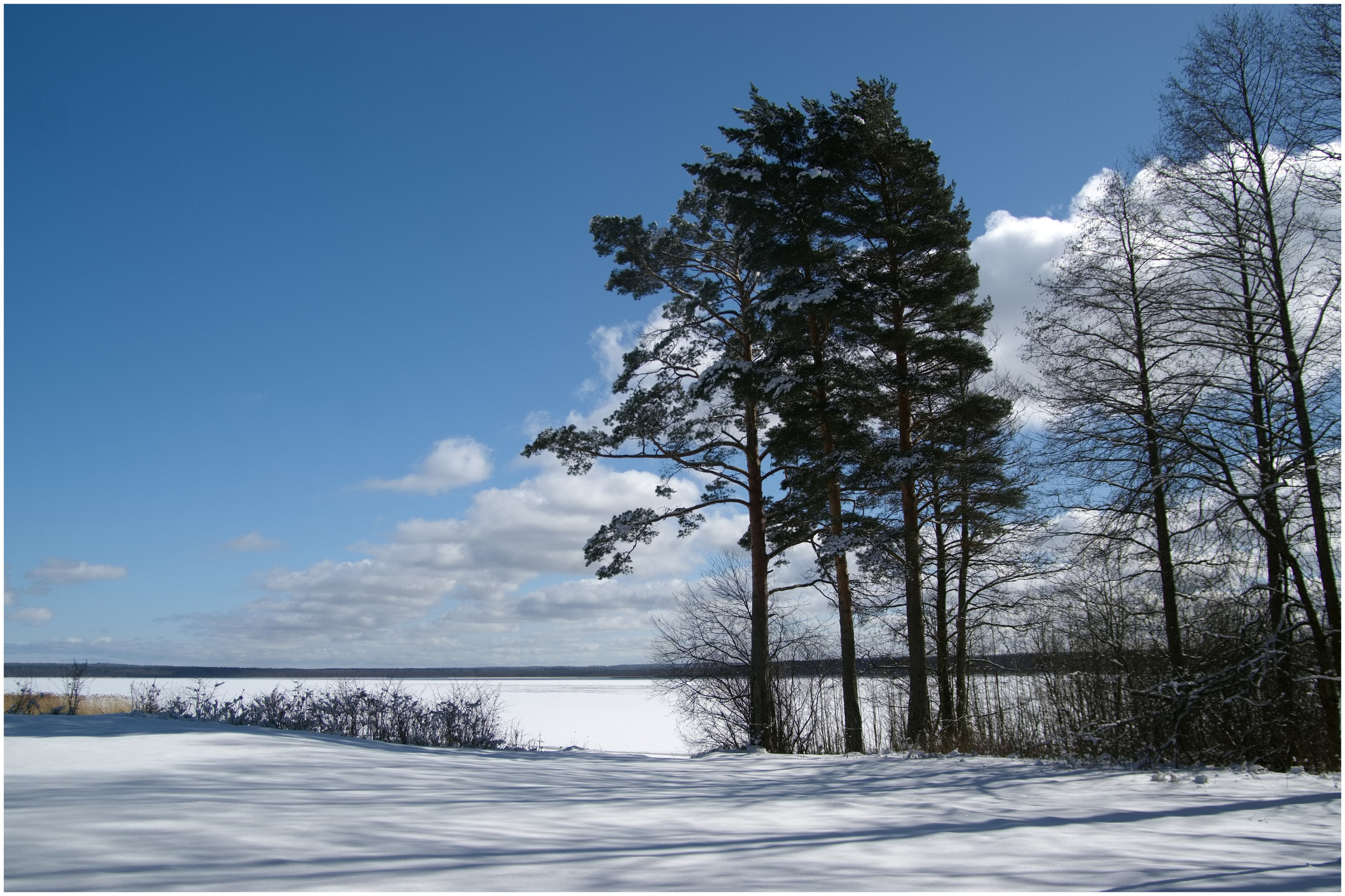 река вуокса.зима.сосны