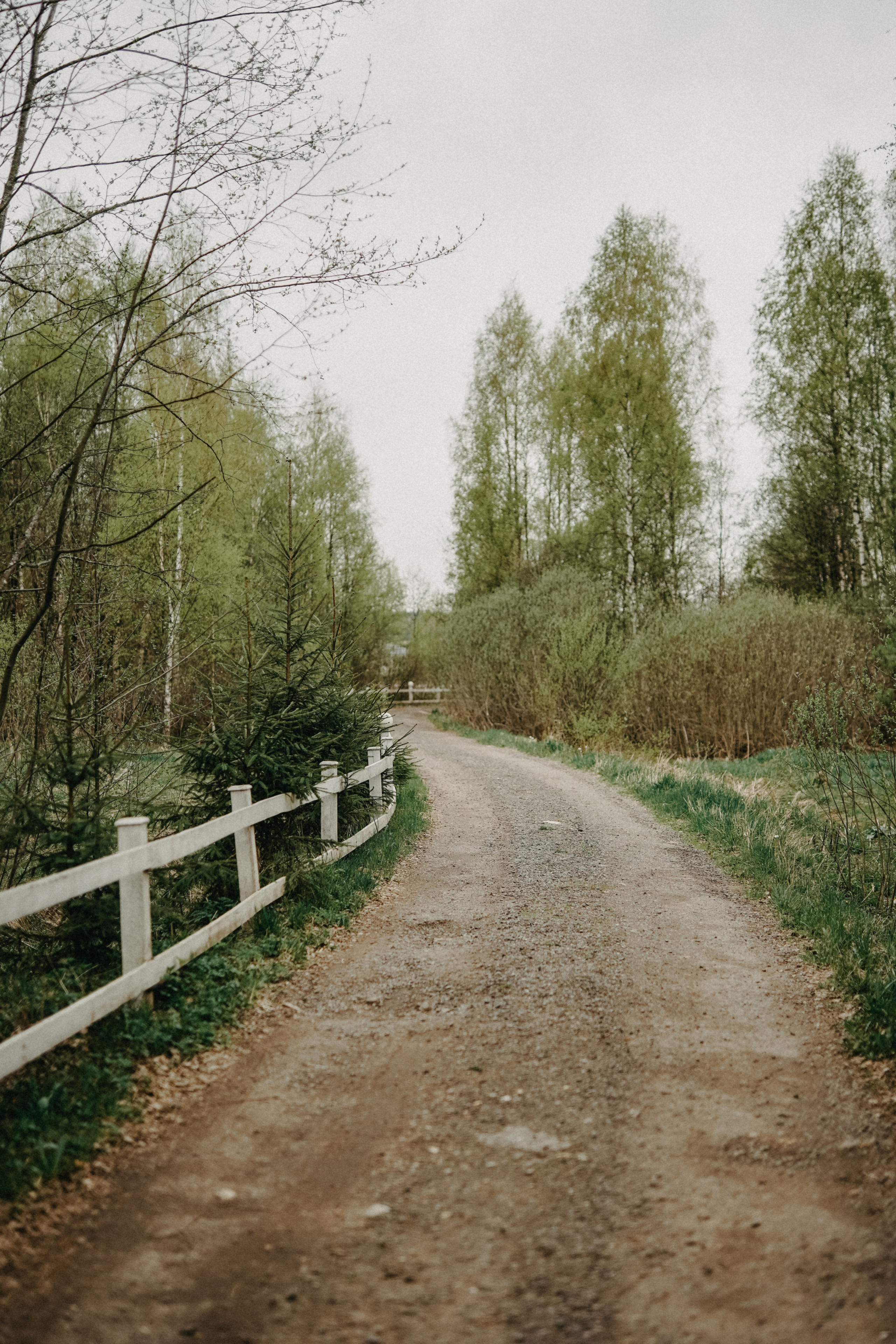 Евгений и Евгения. В единении с природой. Фотограф Наталья Колганова