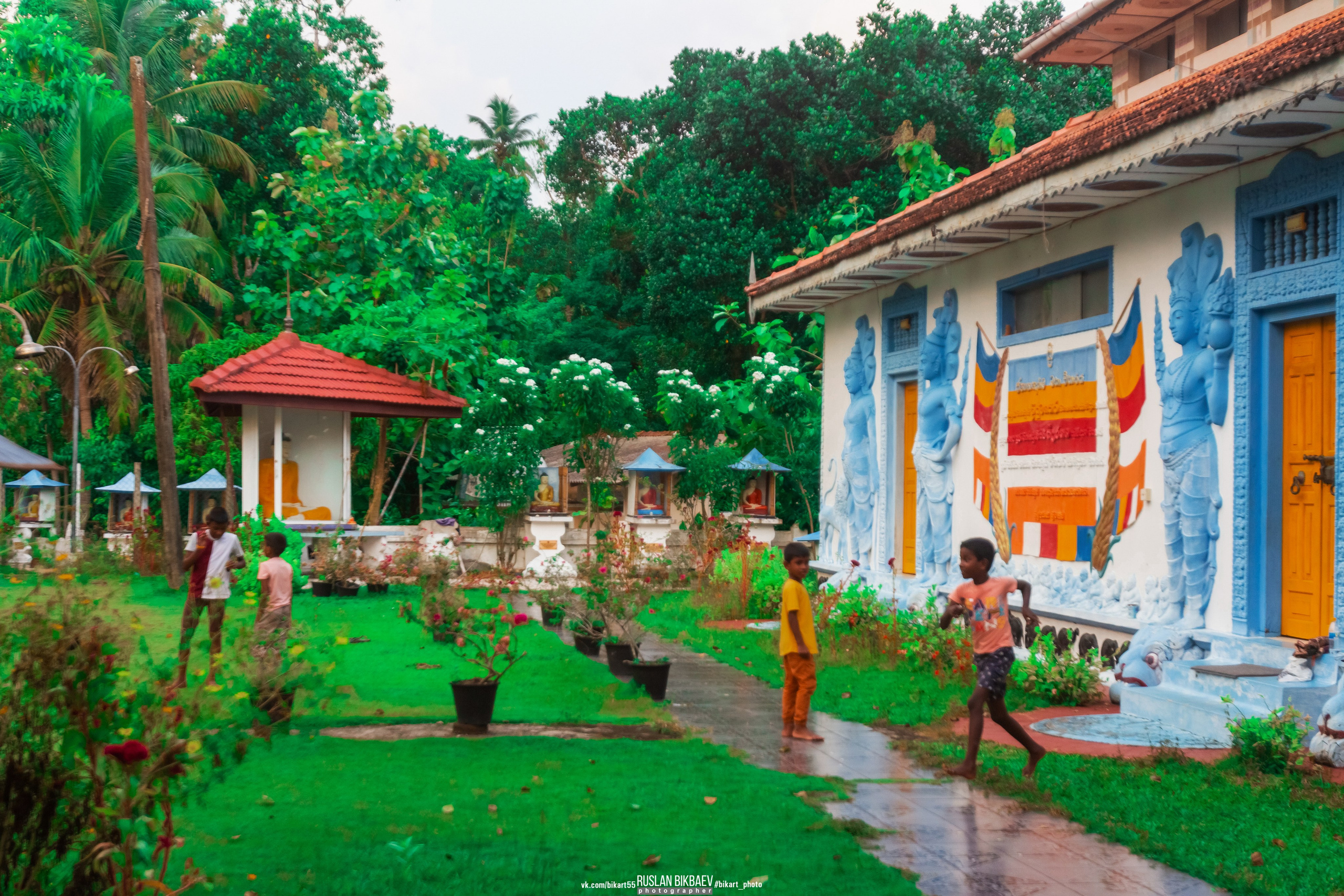 ШРИ-ЛАНКА 2025 / SRI LANKA 2025. Главная