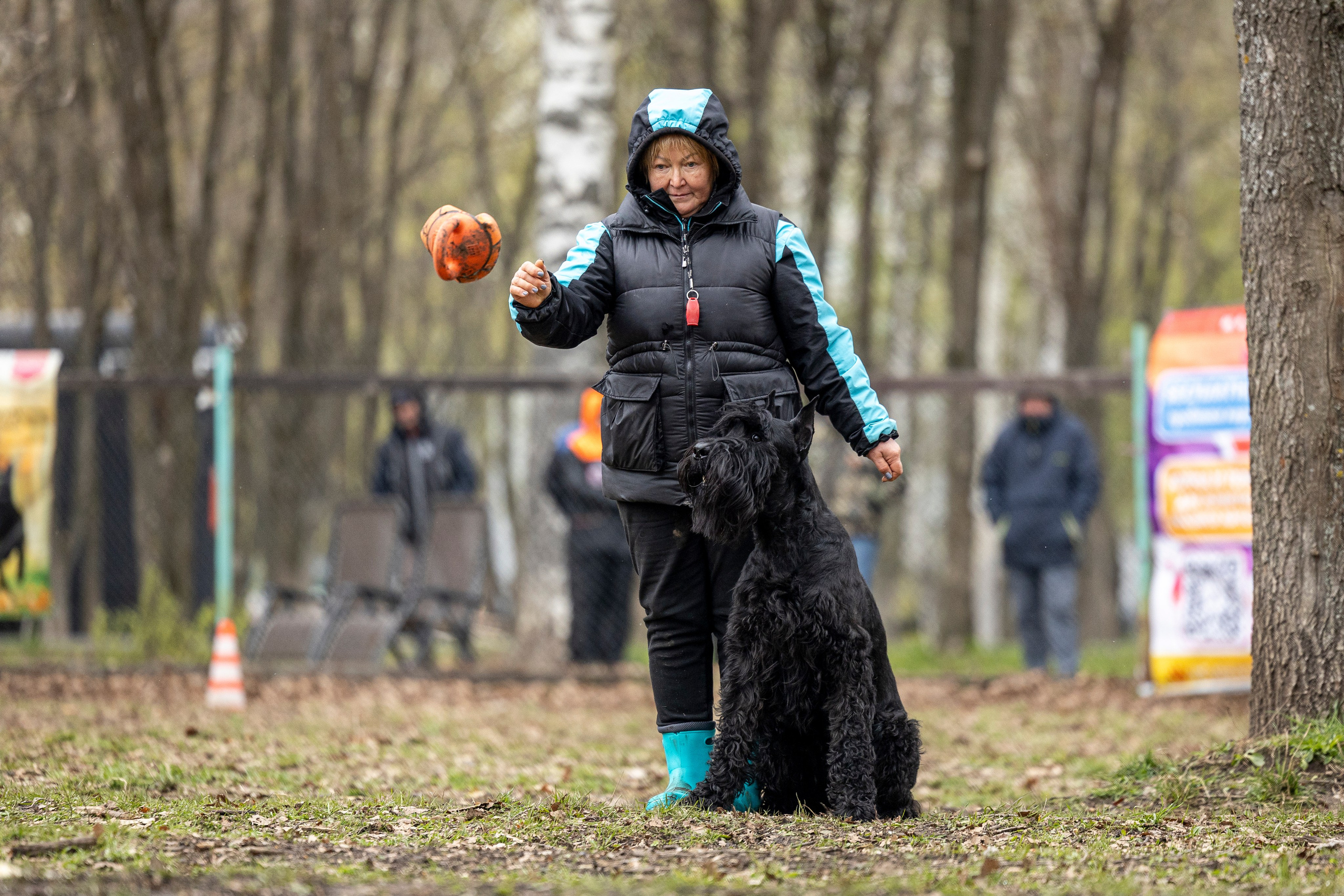 Квалификационные состязания по мондьорингу г. Вологда 11.05.24. Фотограф-анималист Анна Маринич