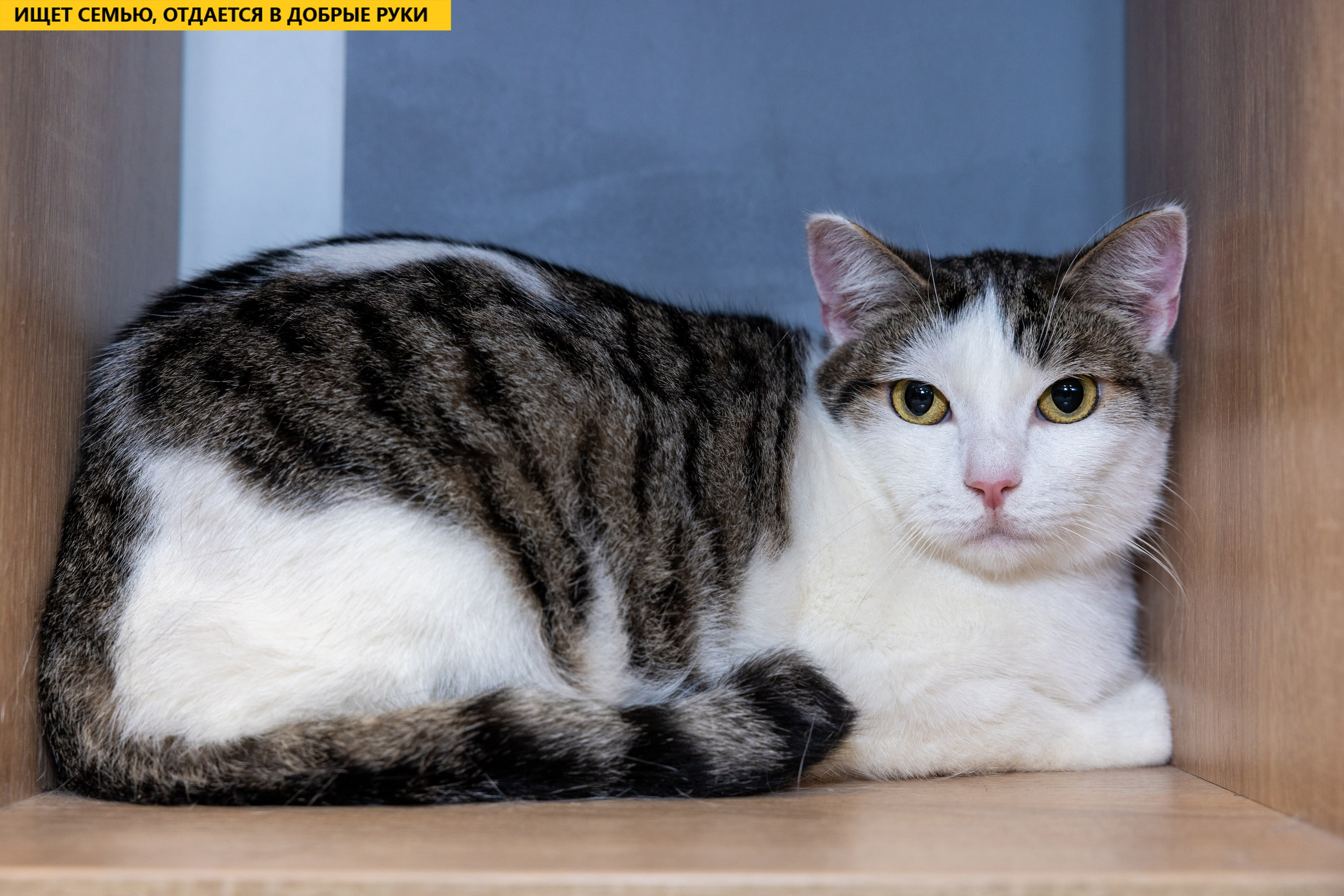 Рекламная съемка в Москве. Геннадий Степанов —фотограф в Москве