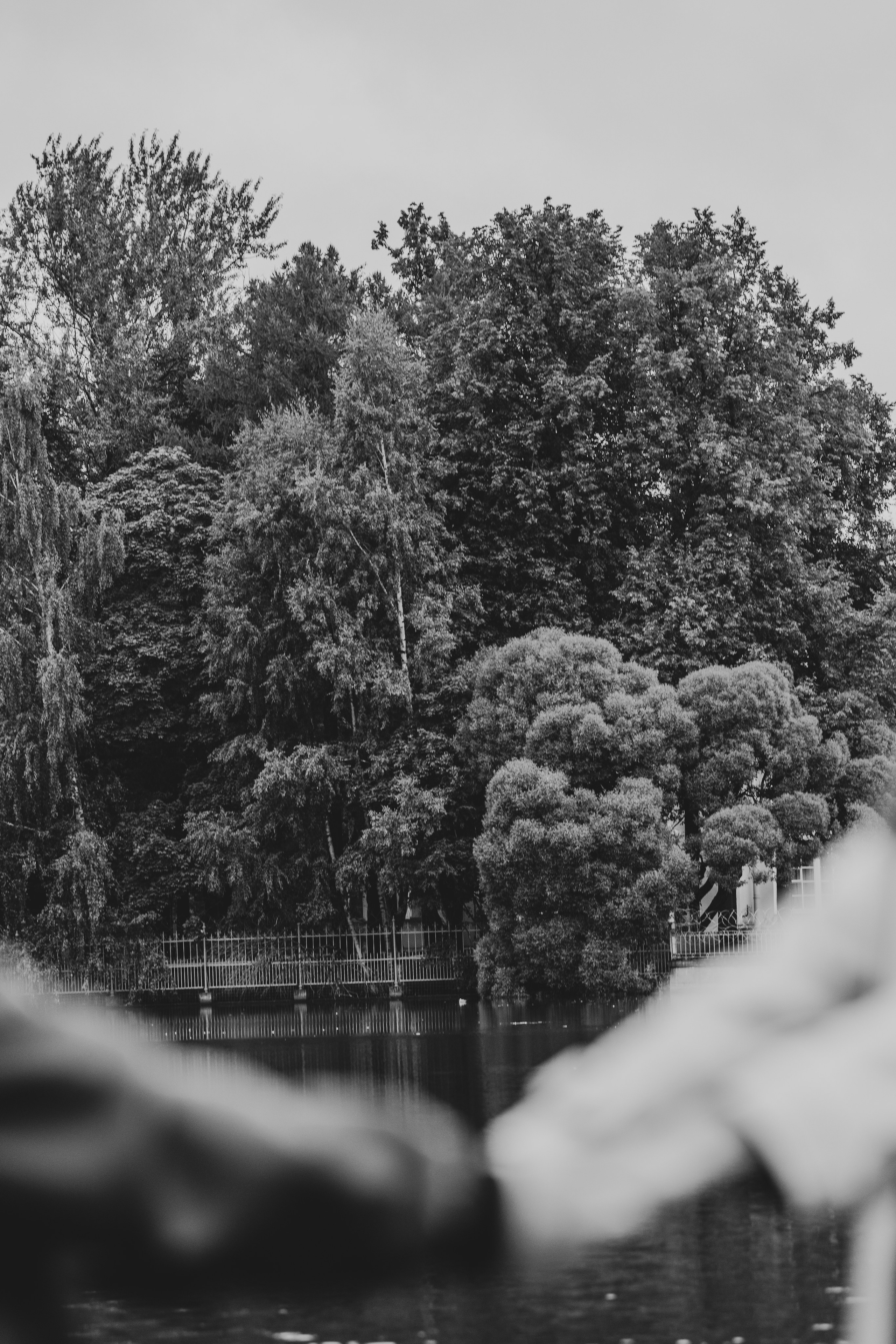 Love Story Прекрасные Григорий & Алина. Фотограф в Санкт-Петербурге Тимофей Орлов