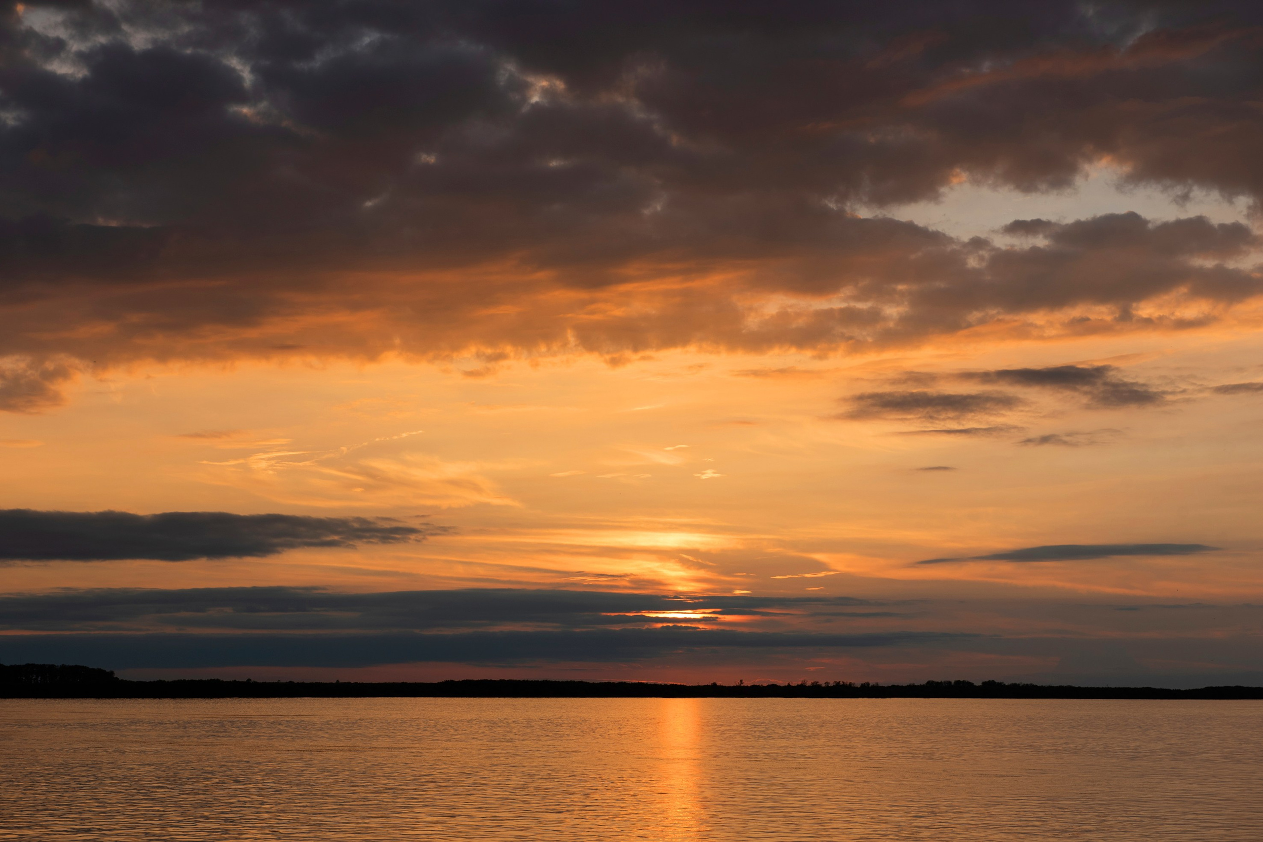 Природа Хабаровского края. Команда фотографов Кристины Ивановой