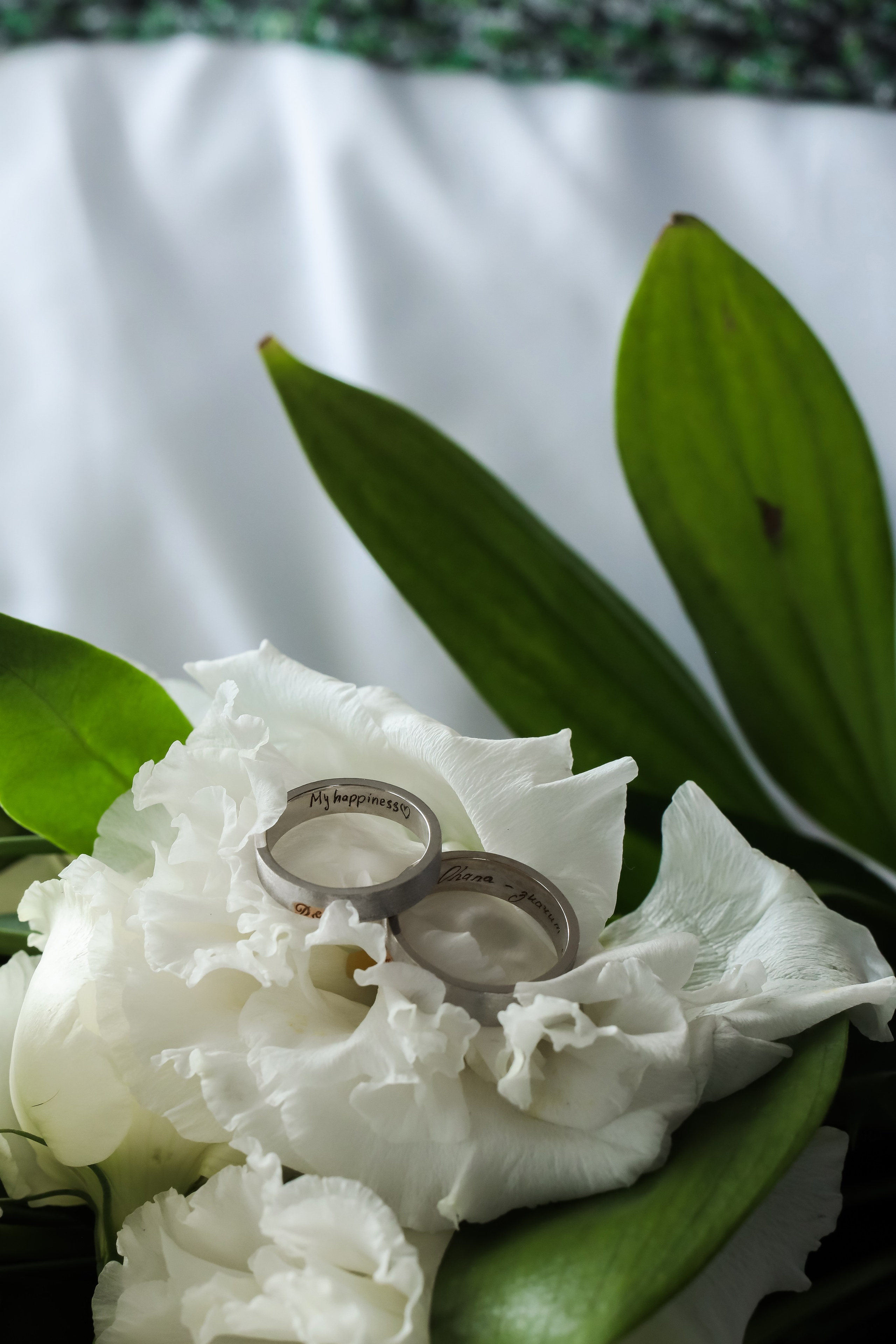 Portfolio. Свадебный фотограф Москва