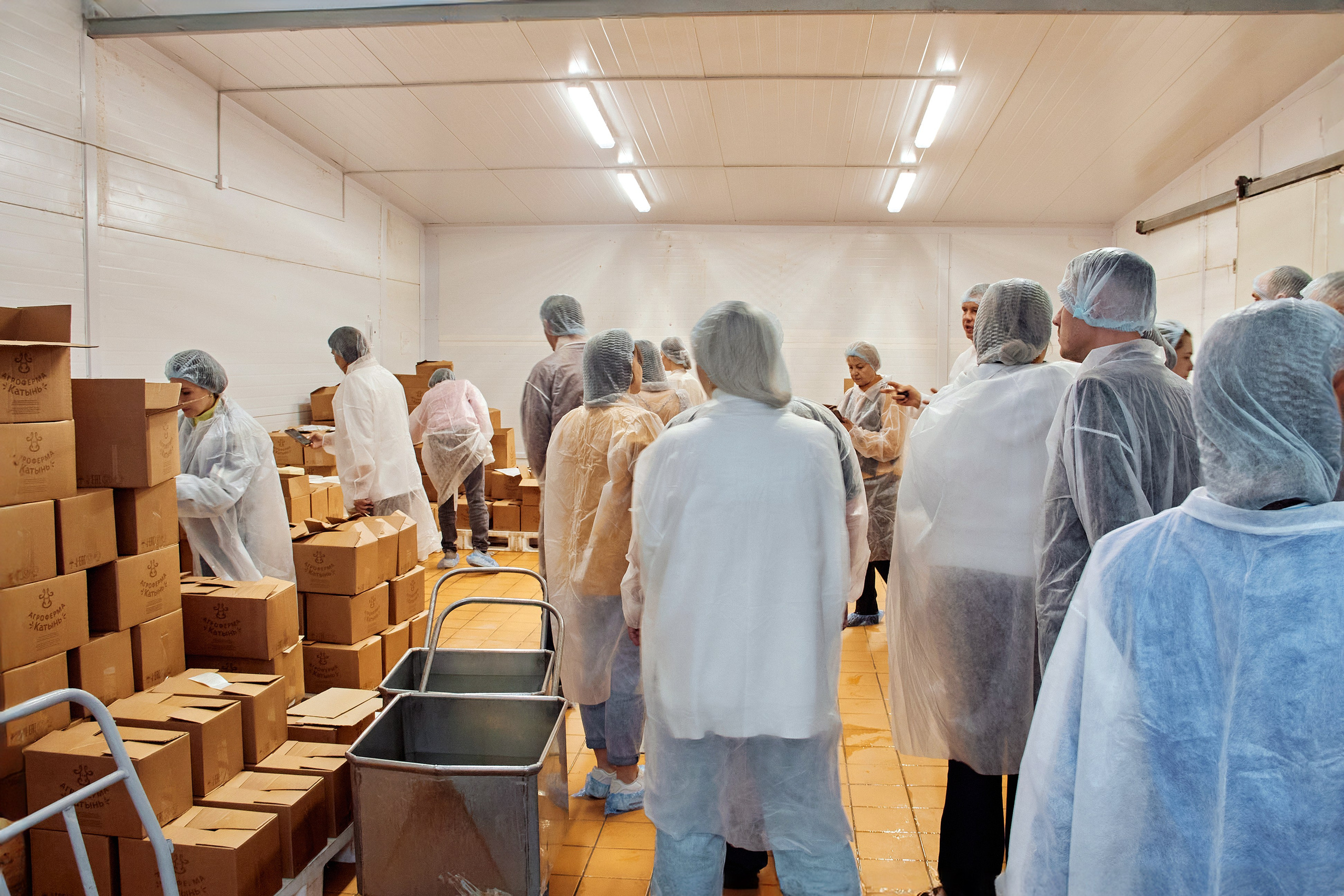 Экскурсия «Агроферма-Катынь». Фотограф в Смоленске Ася Польшина