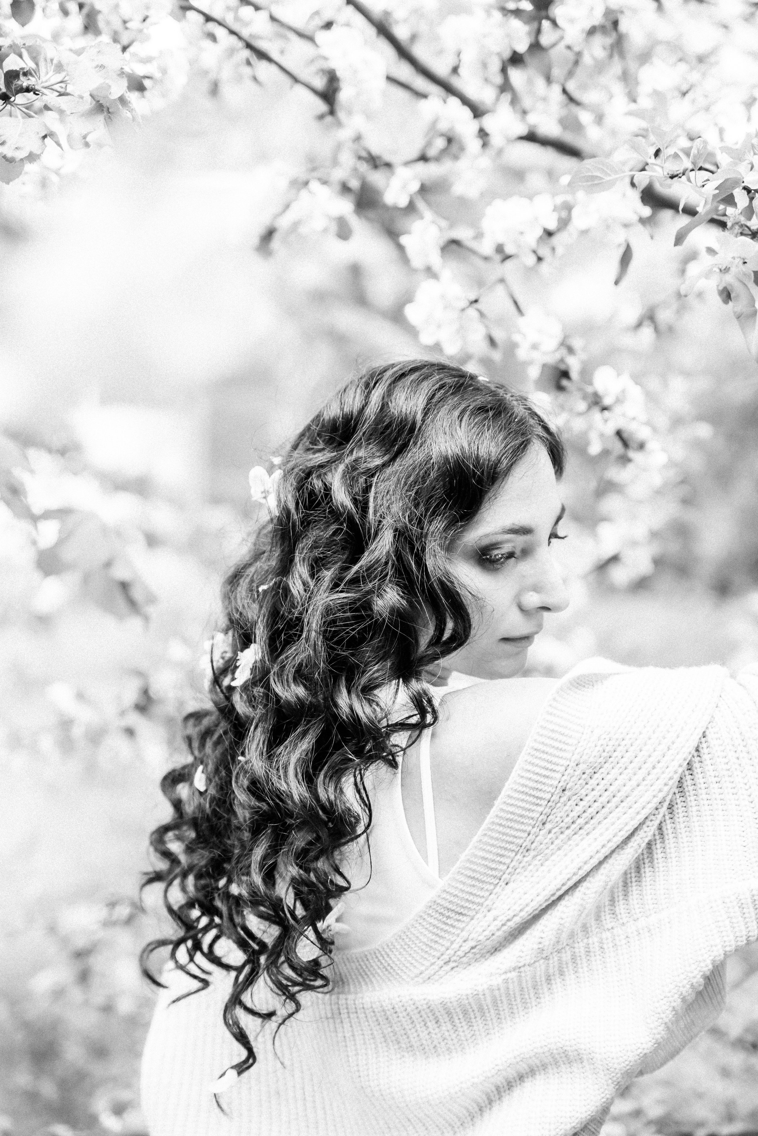 Дарья и цветущий май. Главная