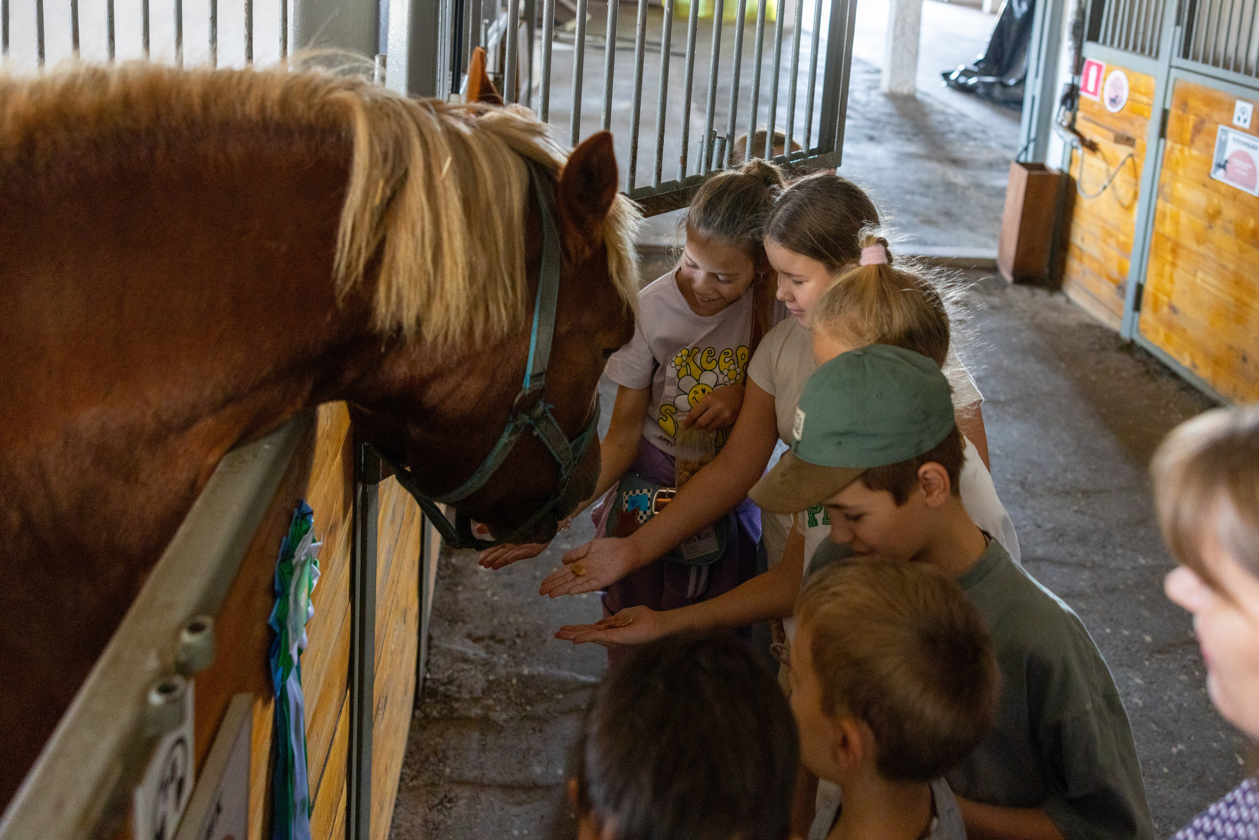 Поездка на поле Кулеково. Фотограф в Туле Крупский АнДРей. Фотостудия «КАДР71» в Туле