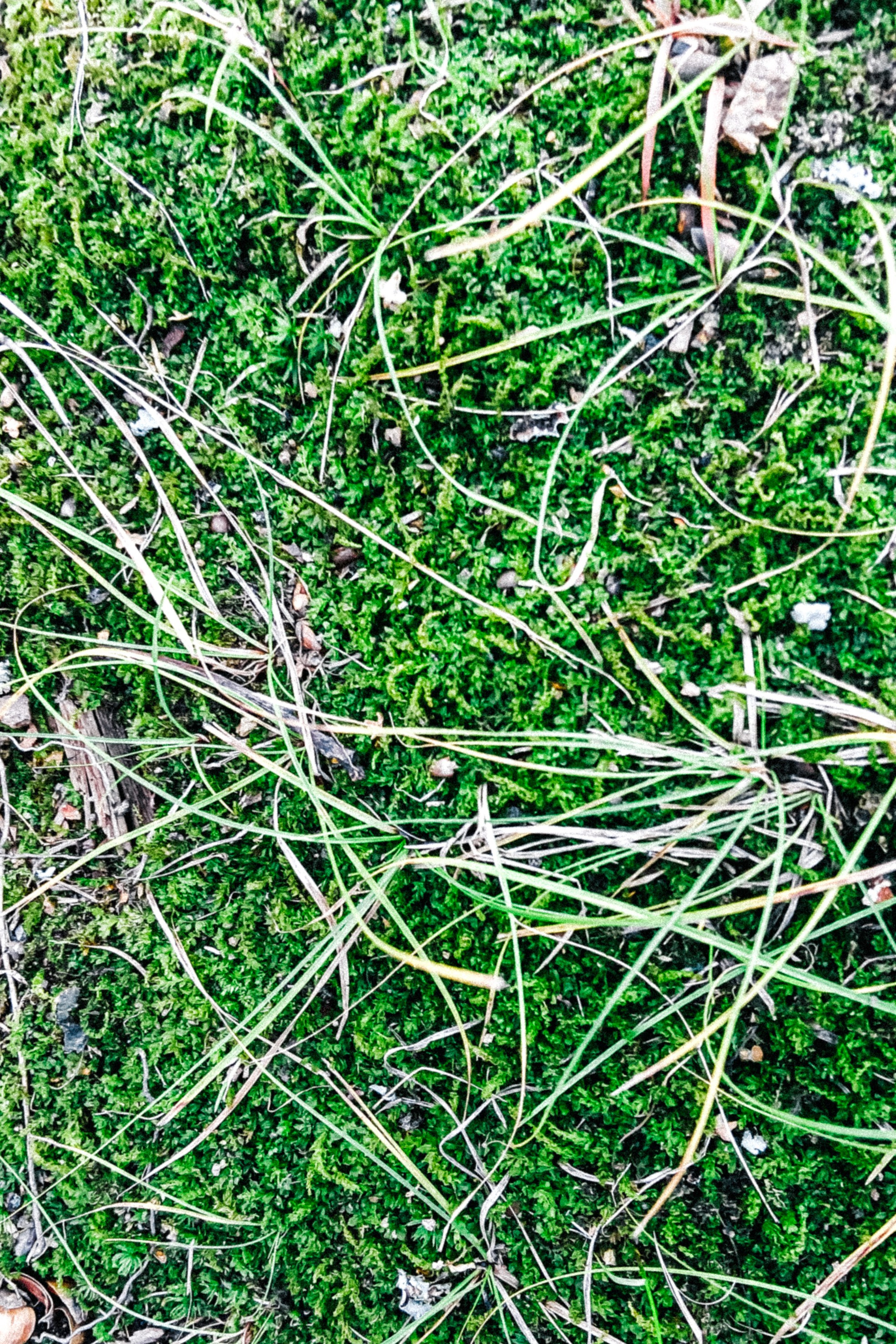 Природа. Команда фотографов Кристины Ивановой