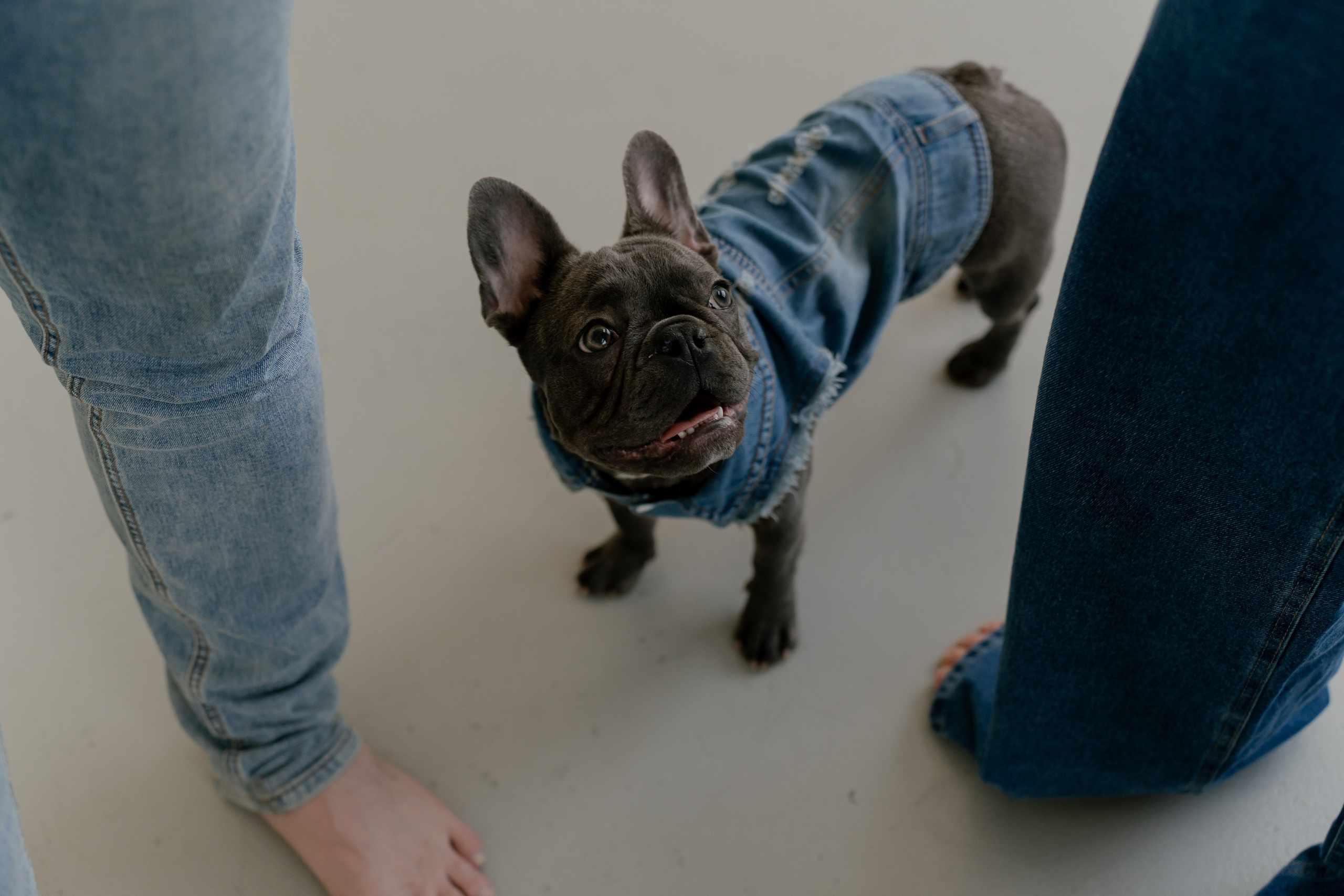 Сергей, Вероника и Руна. Свадебный и семейный фотограф в Москве и Красногорске — живые кадры | Анастасия Тихонова