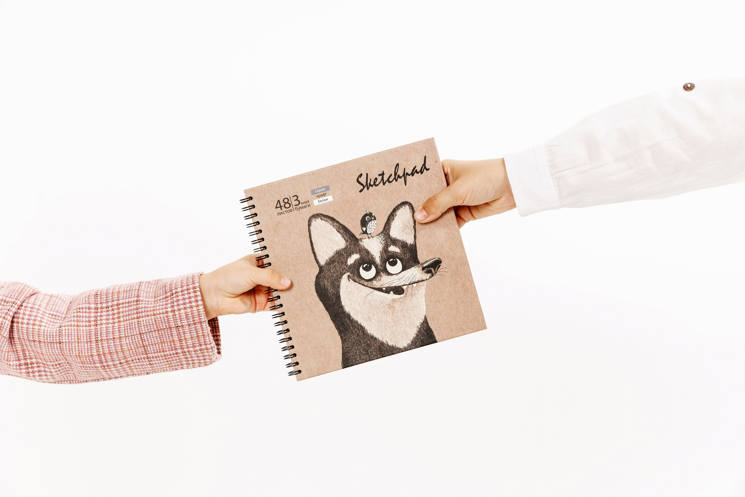 Магазин канцтоваров «Школьный Мир». Фотограф Липецк. Фотограф в Липецке Татьяна Минаева. Портретный фотограф Липецк. Свадебный фотограф Липецк. Бизнес фотограф Липецк