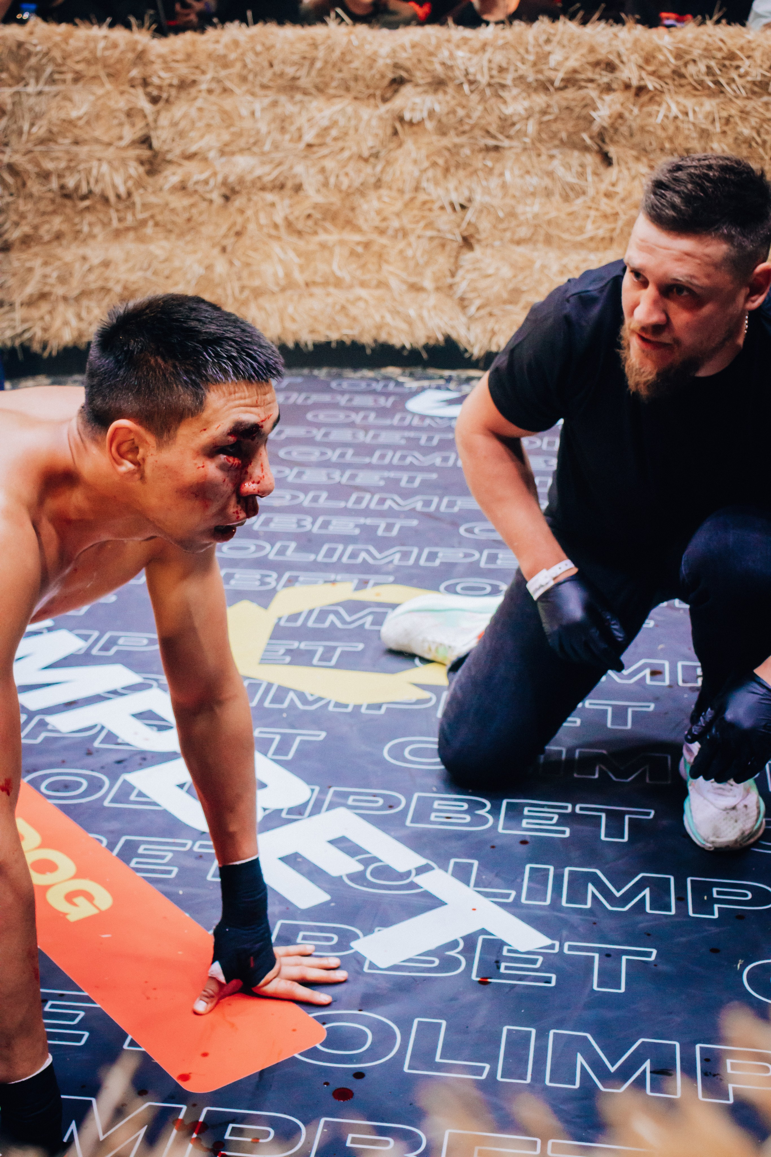 Кулачные бои TopDog. Анастасия Тен