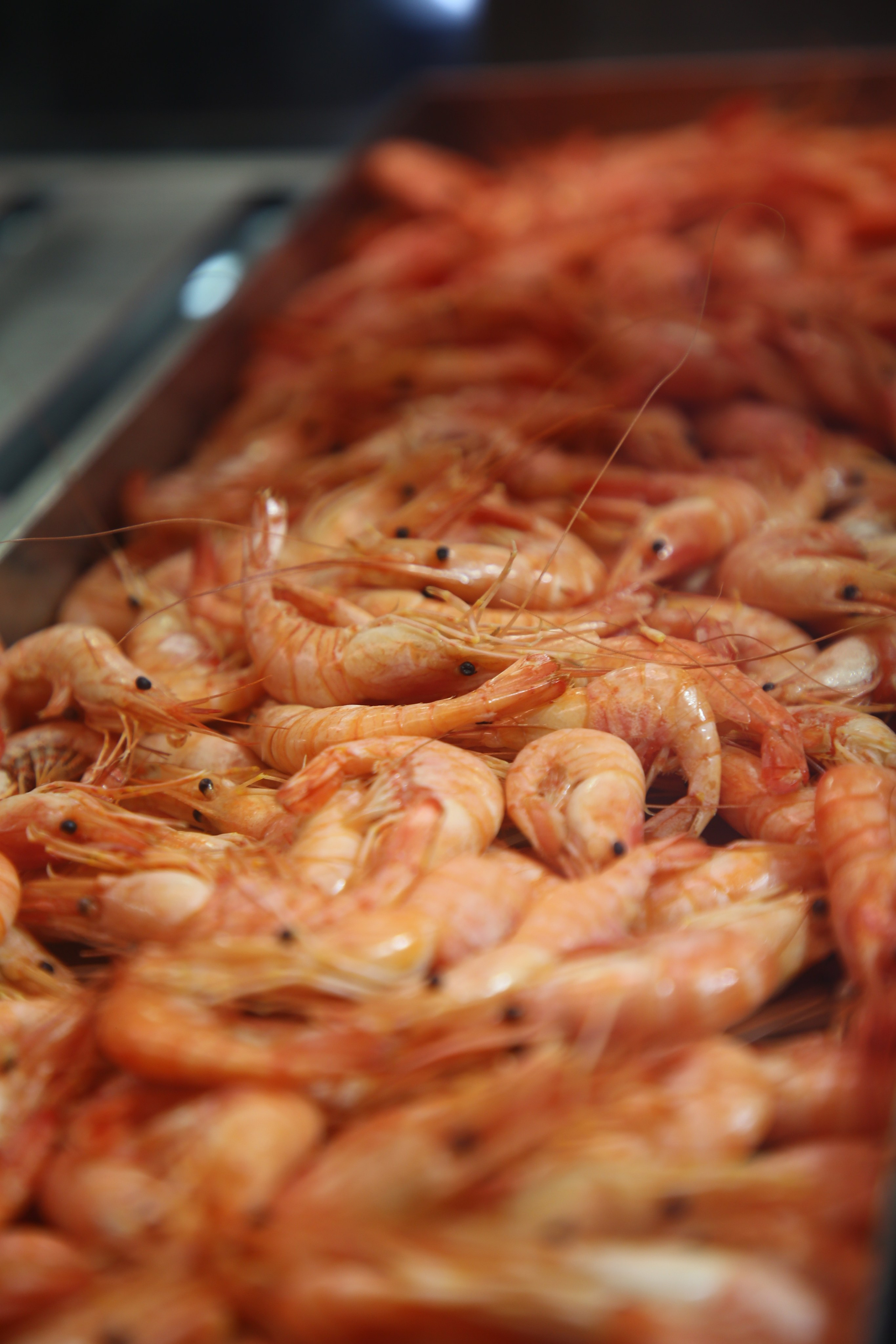 Lisbon, Portugal. Andrey Filippov Photographer