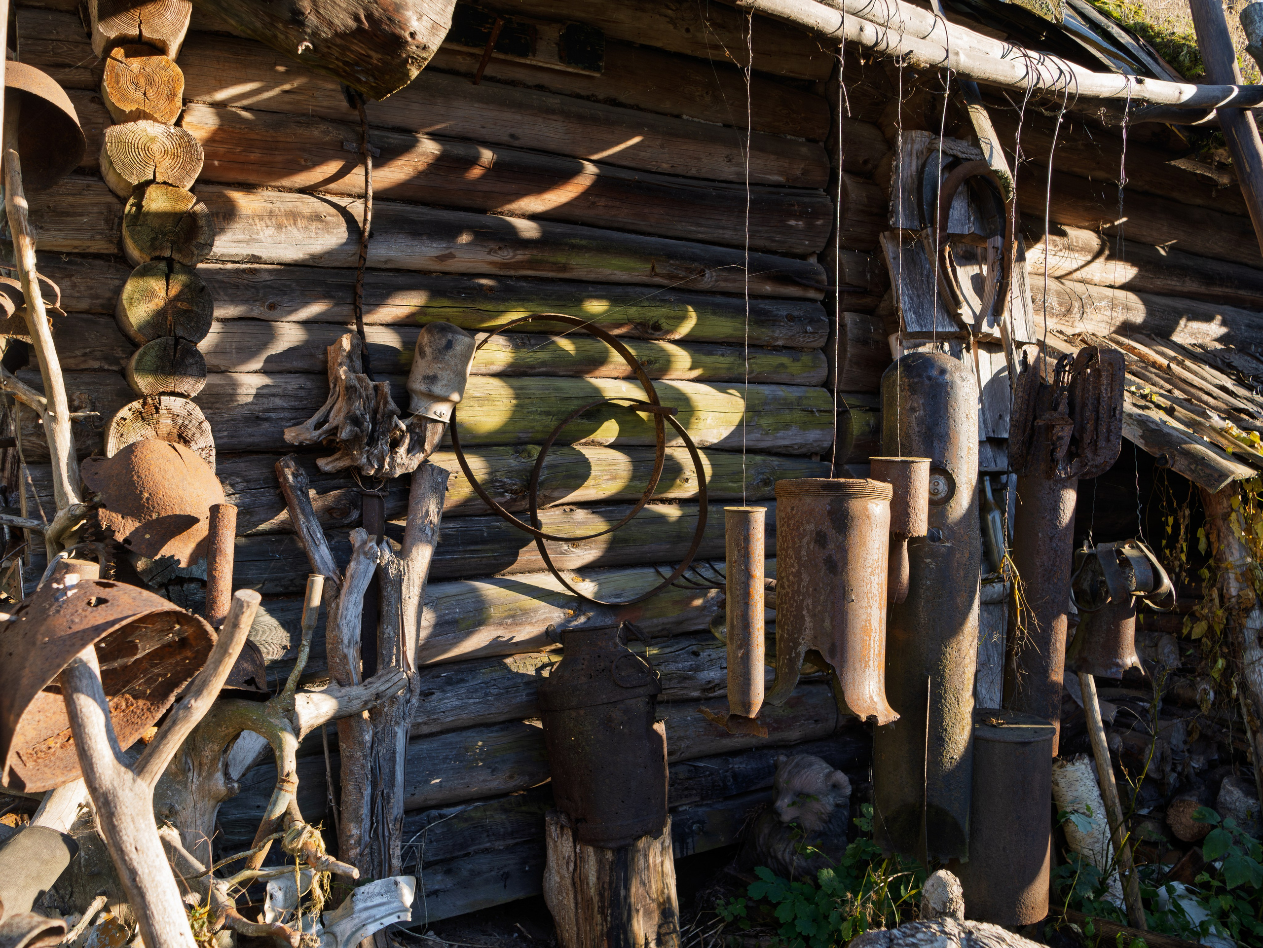 Голубые озера, Псковская область. Октябрь 2024. Фотограф Никифоров-Гордеев Сергей. Москва и МО