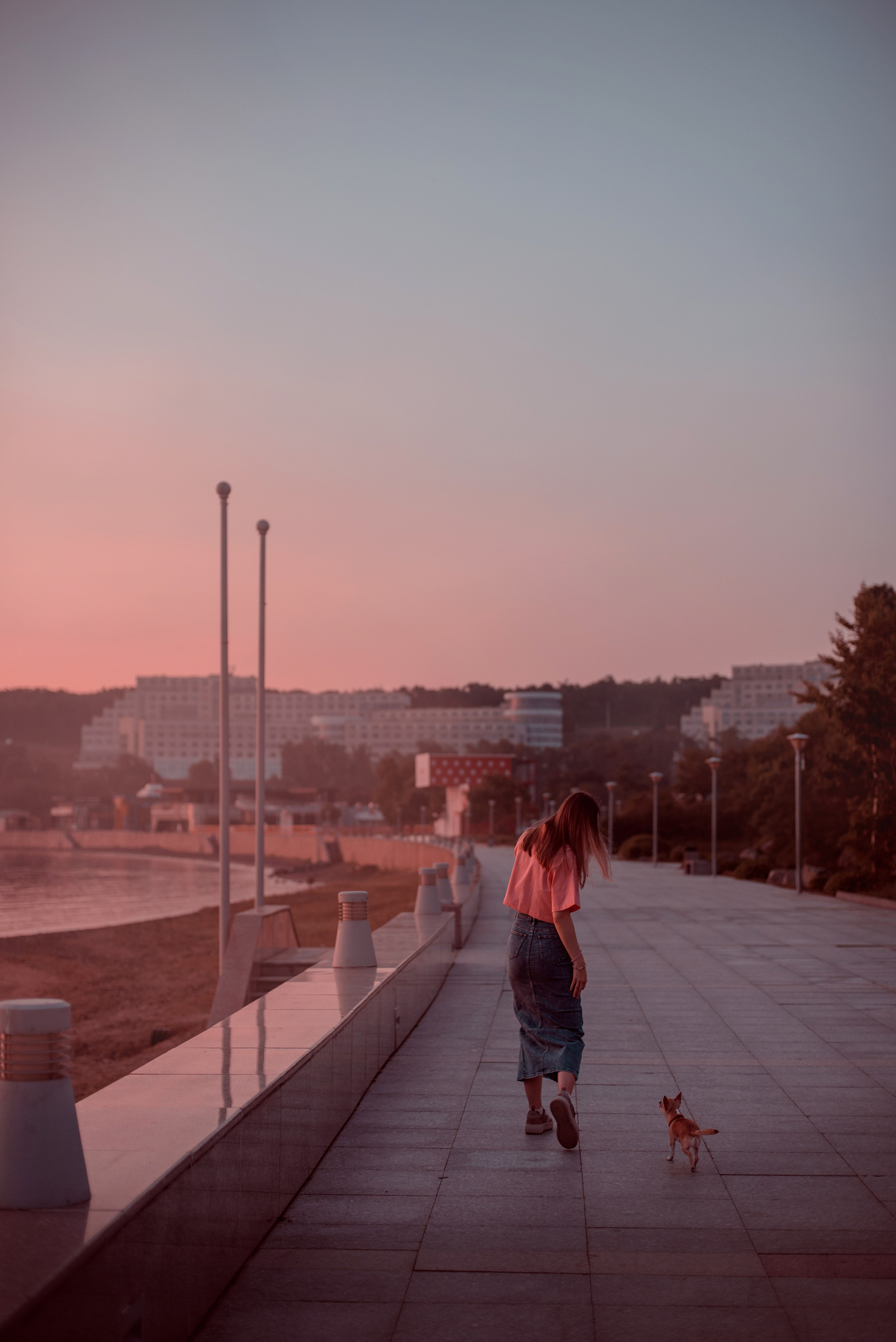 Прогулка: чихуахуа Хенни и Алина во Владивостоке. Портфолио