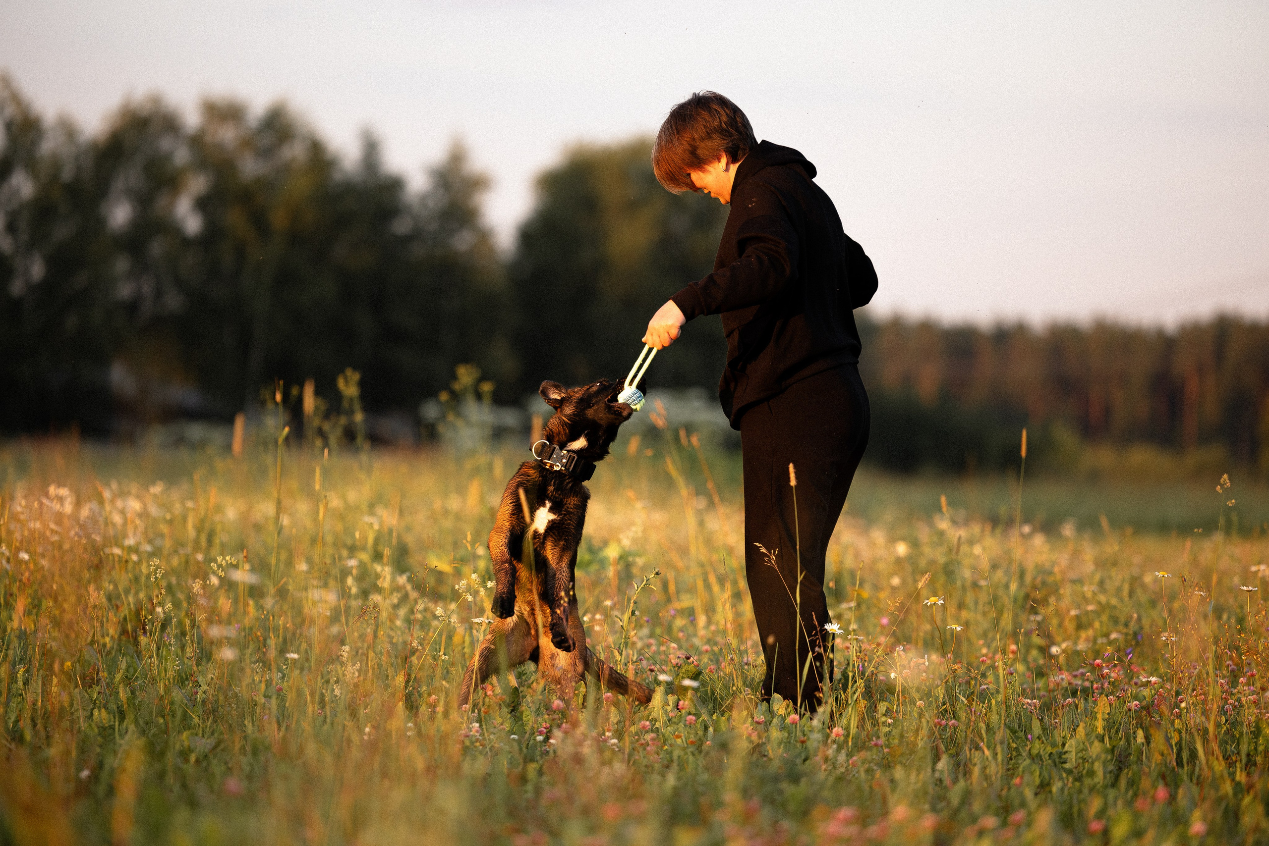 Галина и Лоя. Фотограф и видеограф анималист Аганина Дарья