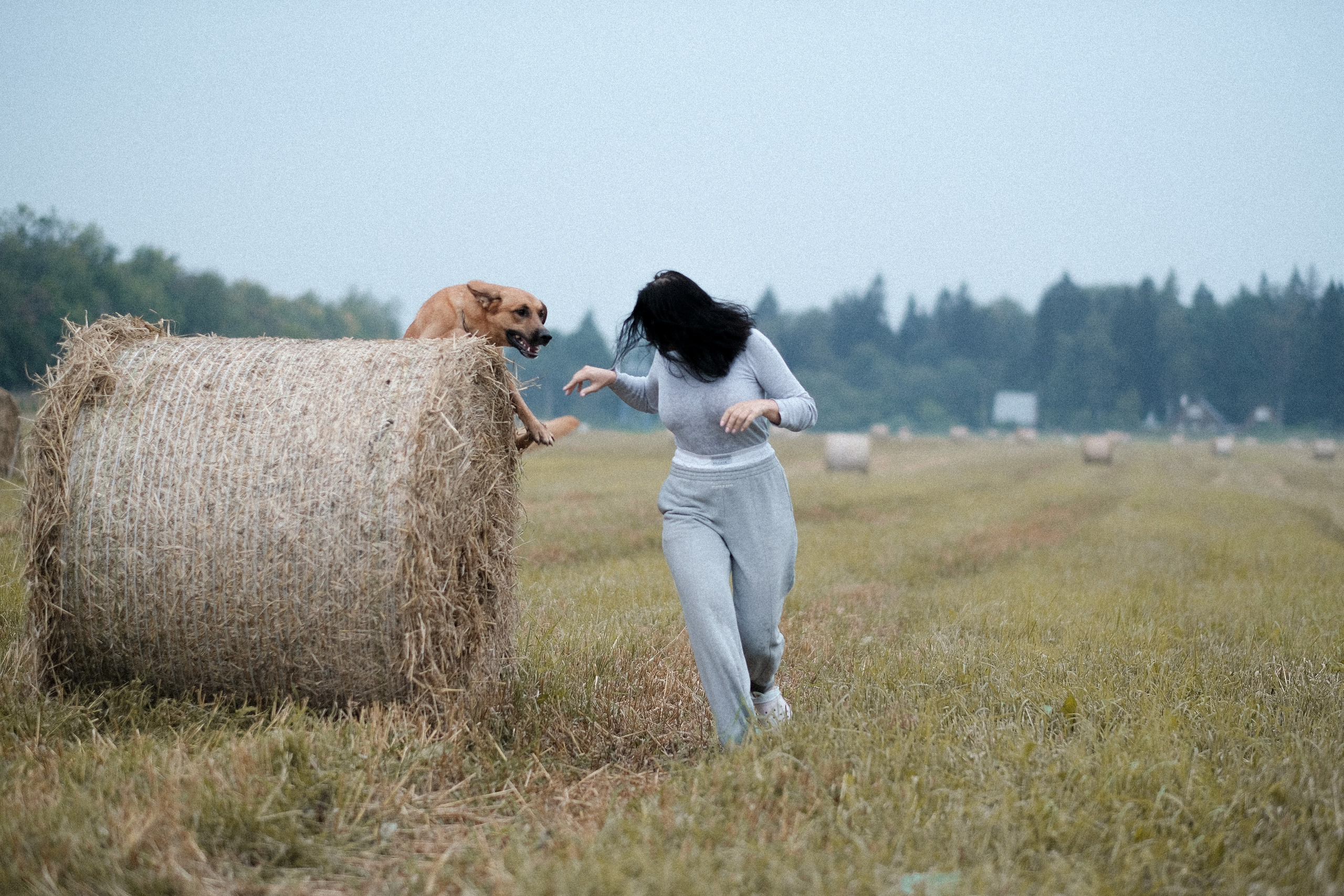 Тео и Оля. Фотограф и видеограф анималист Аганина Дарья