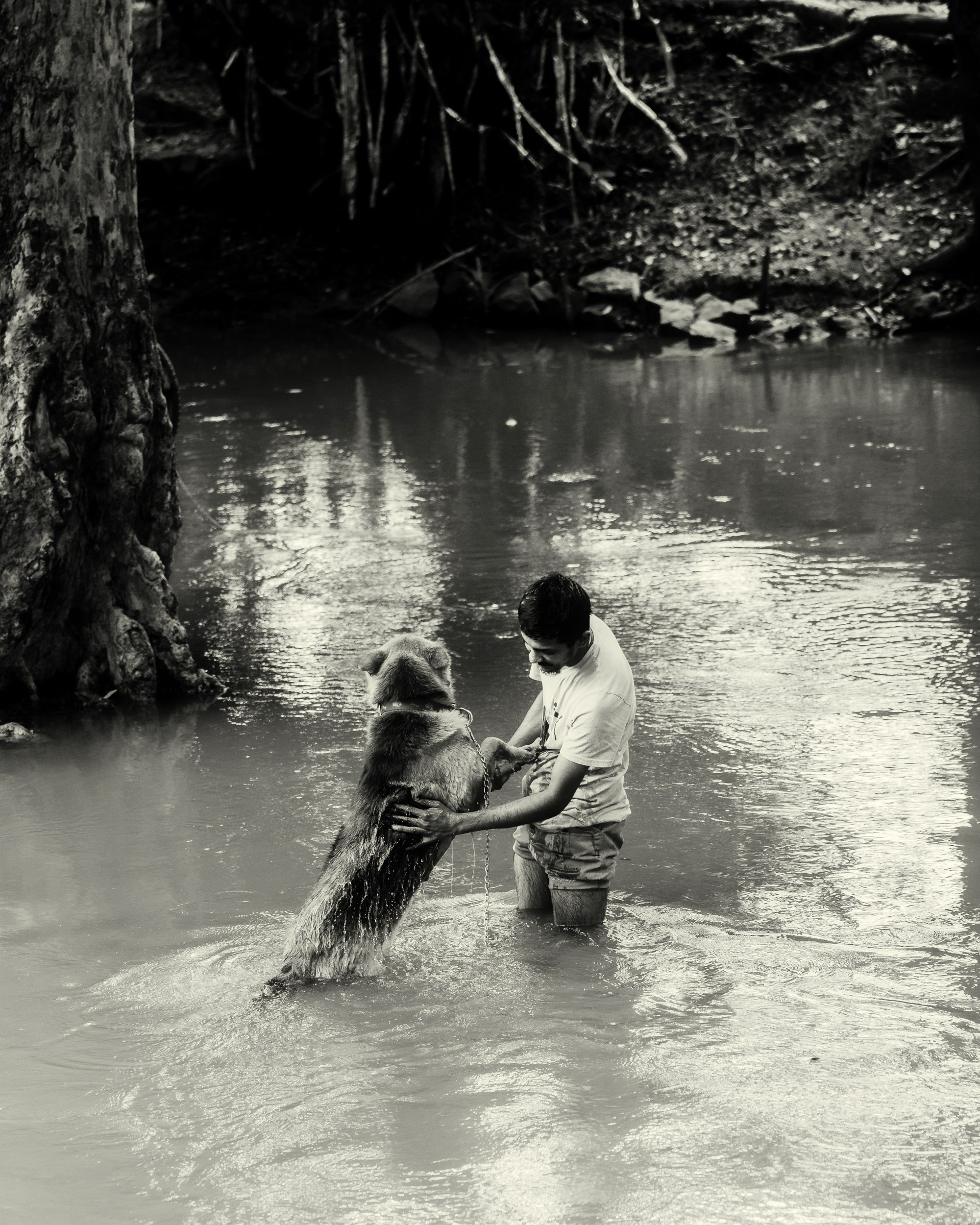 Ktokuda. Фотограф в Хабаровске. Фотография за 24 часа