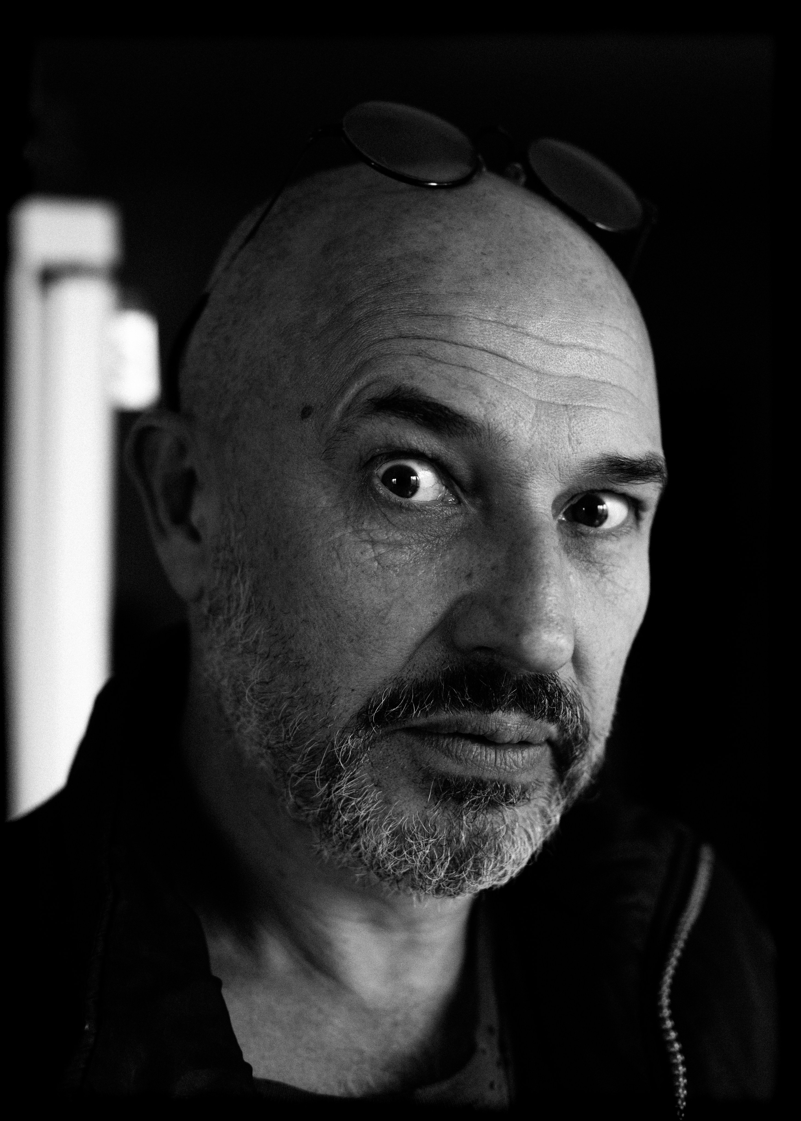 (YarOman) Жизнь в лесу. Фотография, как она есть