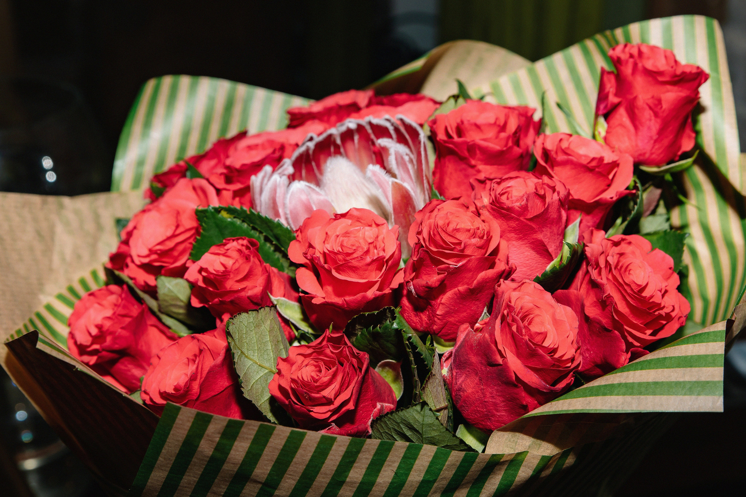 ~ С Днем Рождения, Катерина FOX ~. Фотограф в Москве Яна Полосина