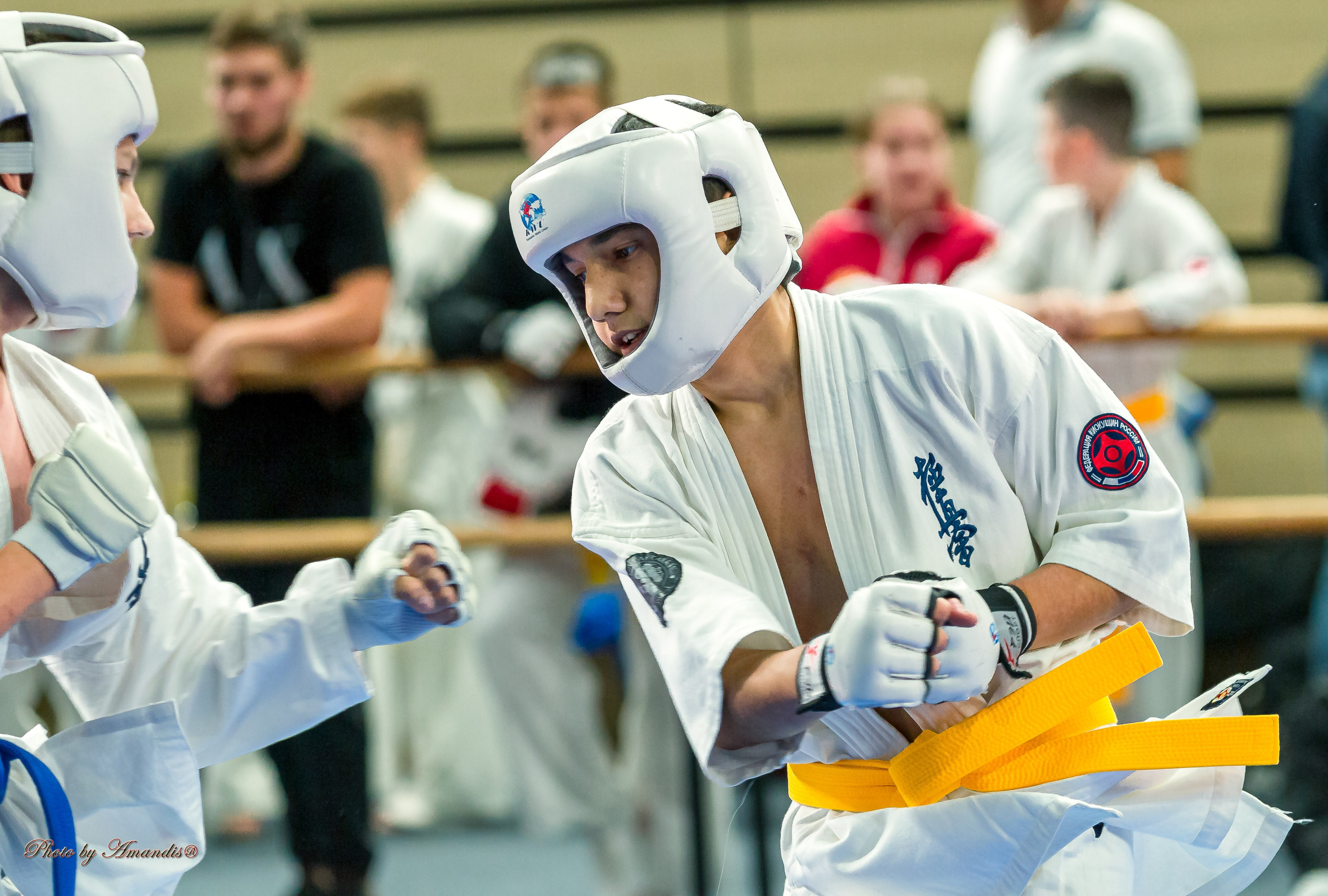 Первенство Московской области по Киокушин в СК «Жаворонки». Репортажная съемка в Москве и области. Анималистика