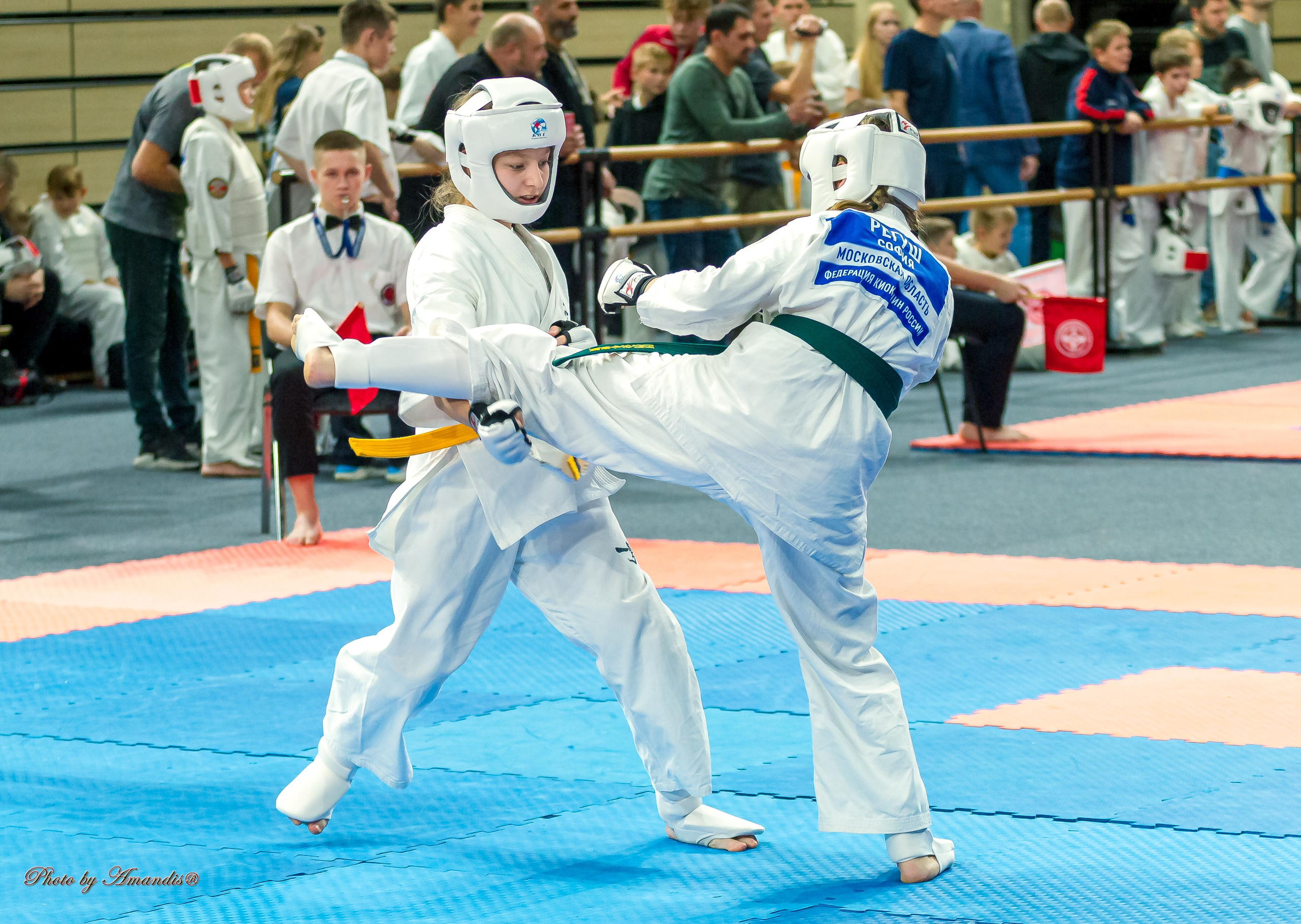 Первенство Московской области по Киокушин в СК «Жаворонки». Репортажная съемка в Москве и области. Анималистика