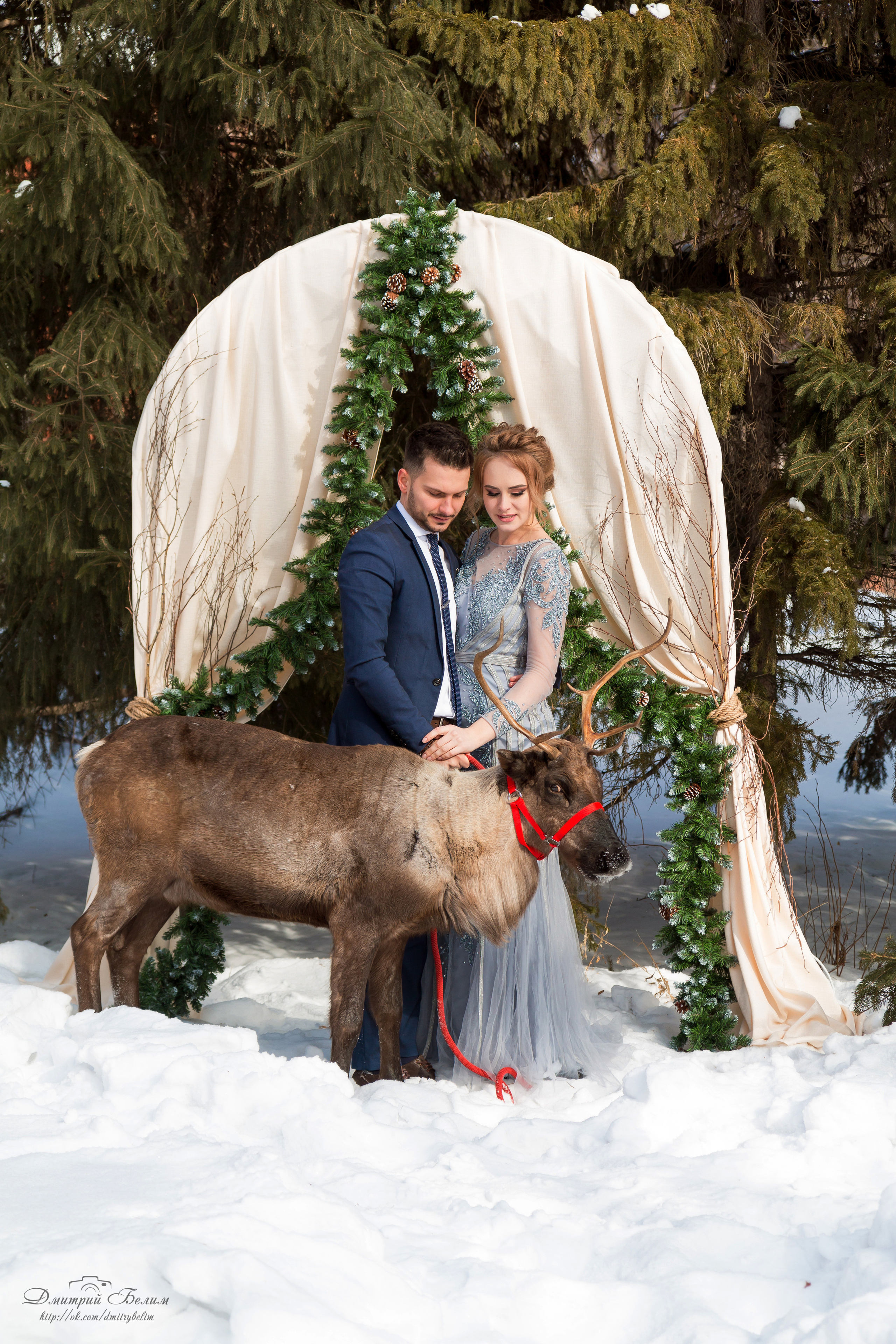 Воркшоп. Дмитрий Белим — Семейный фотограф в Омске | Фотосессии для беременных и малышей