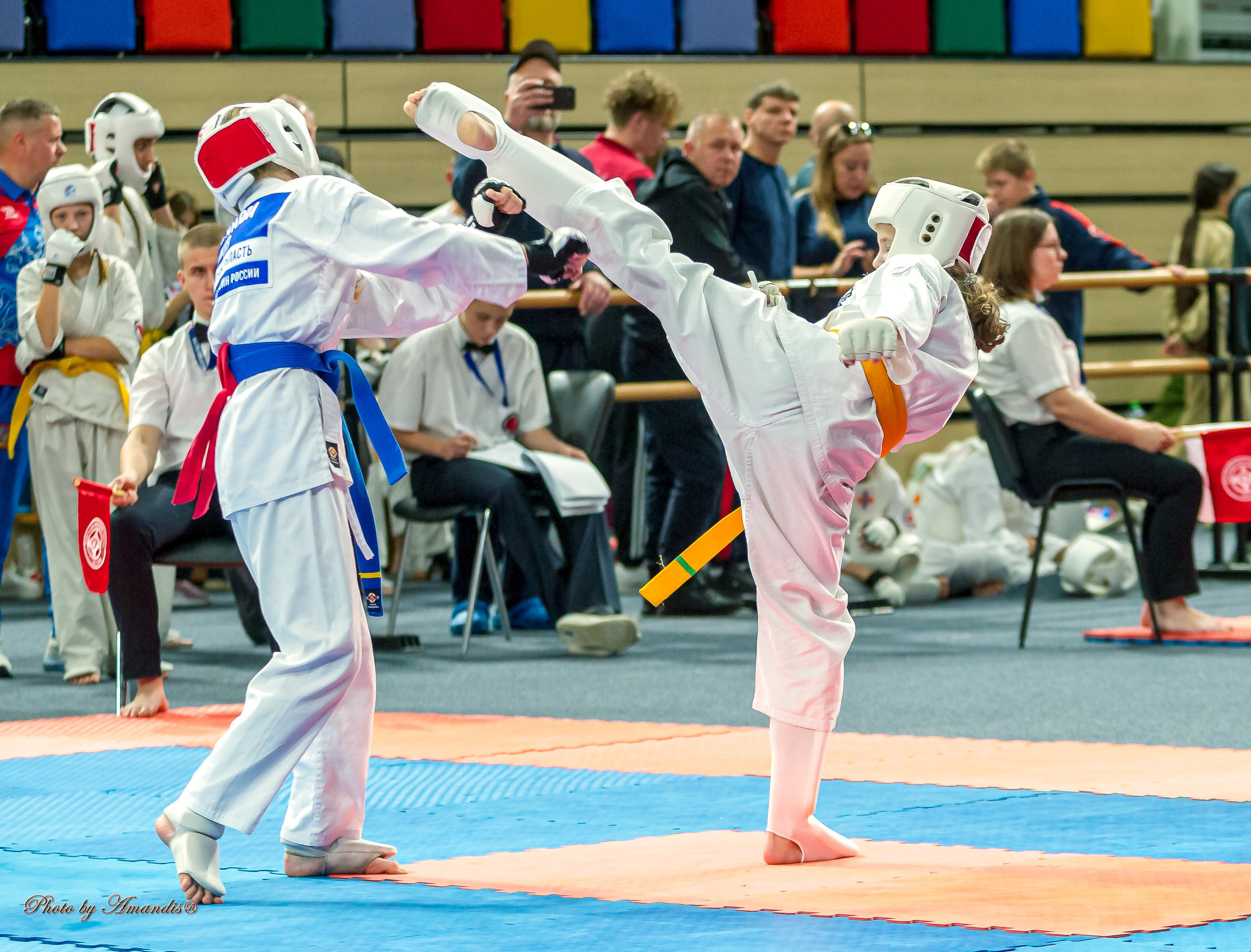 Первенство Московской области по Киокушин в СК «Жаворонки». Репортажная съемка в Москве и области. Анималистика